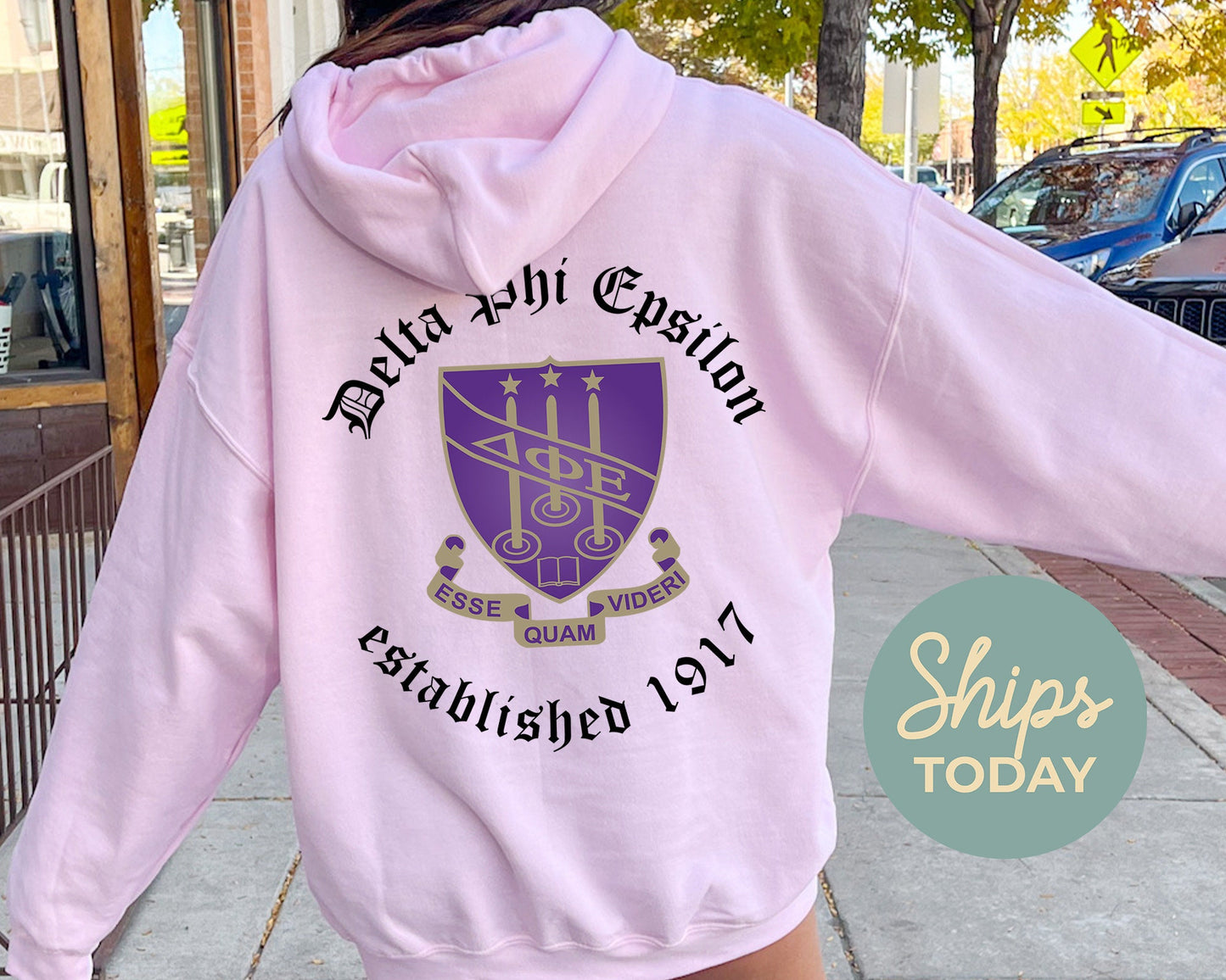 Delta Phi Epsilon Old English Crest Sorority Hoodie _ 32932g