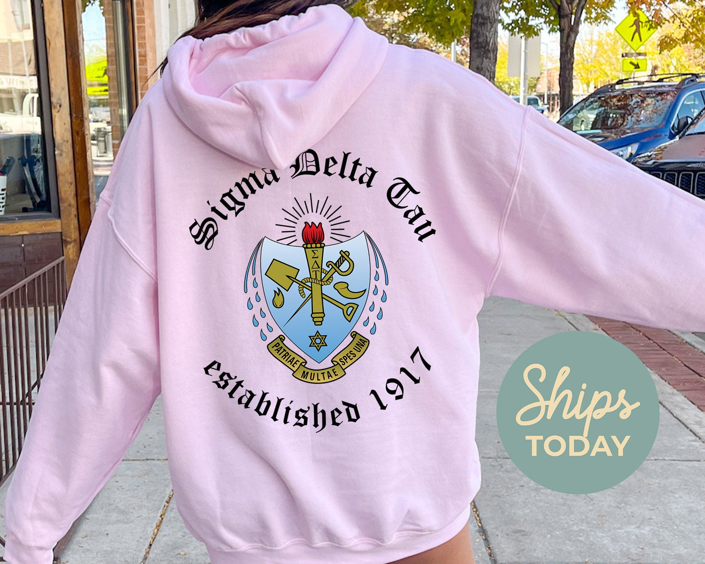 Sigma Delta Tau Old English Crest Sorority Hoodie _ 32941g