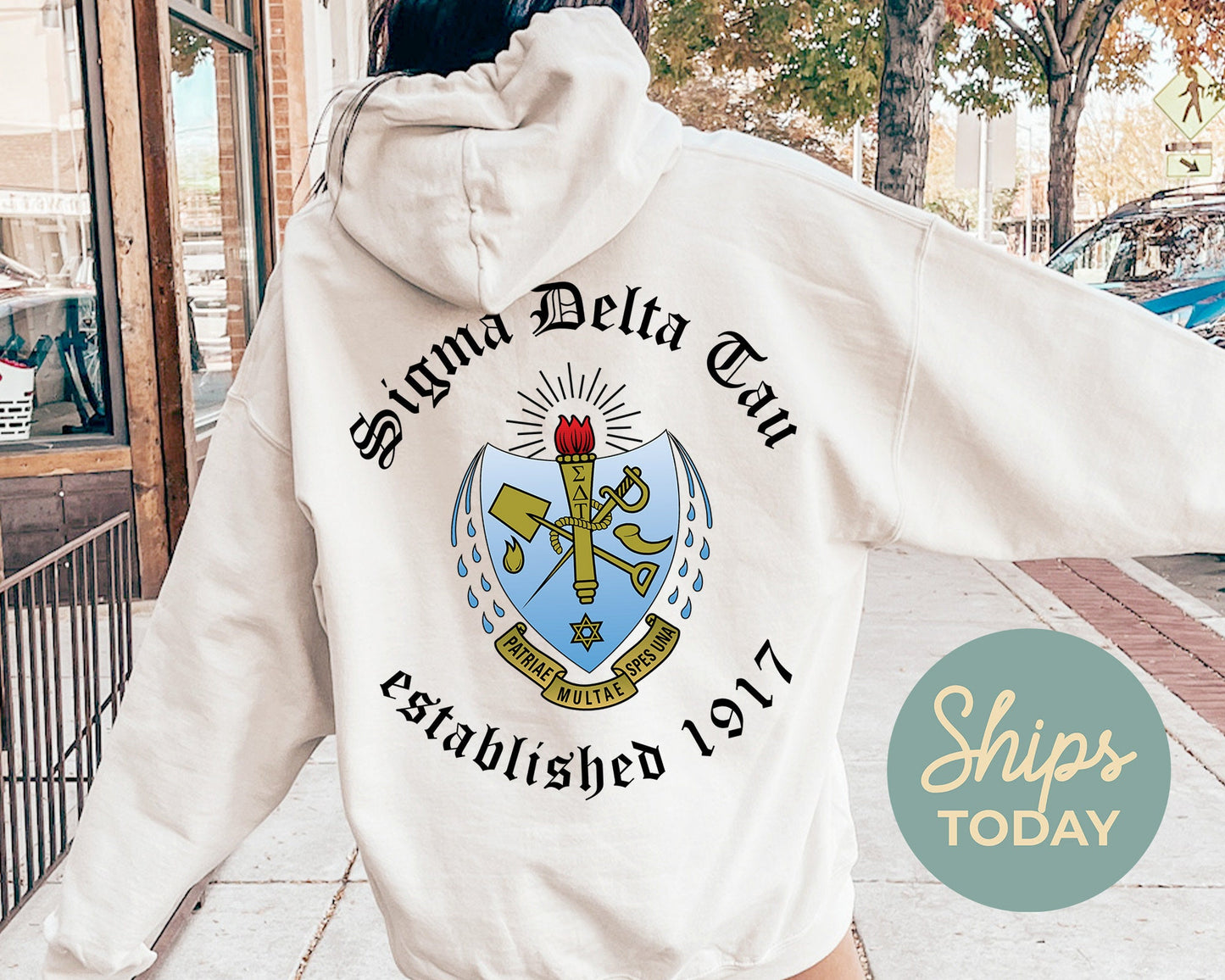 Sigma Delta Tau Old English Crest Sorority Hoodie _ 32941g