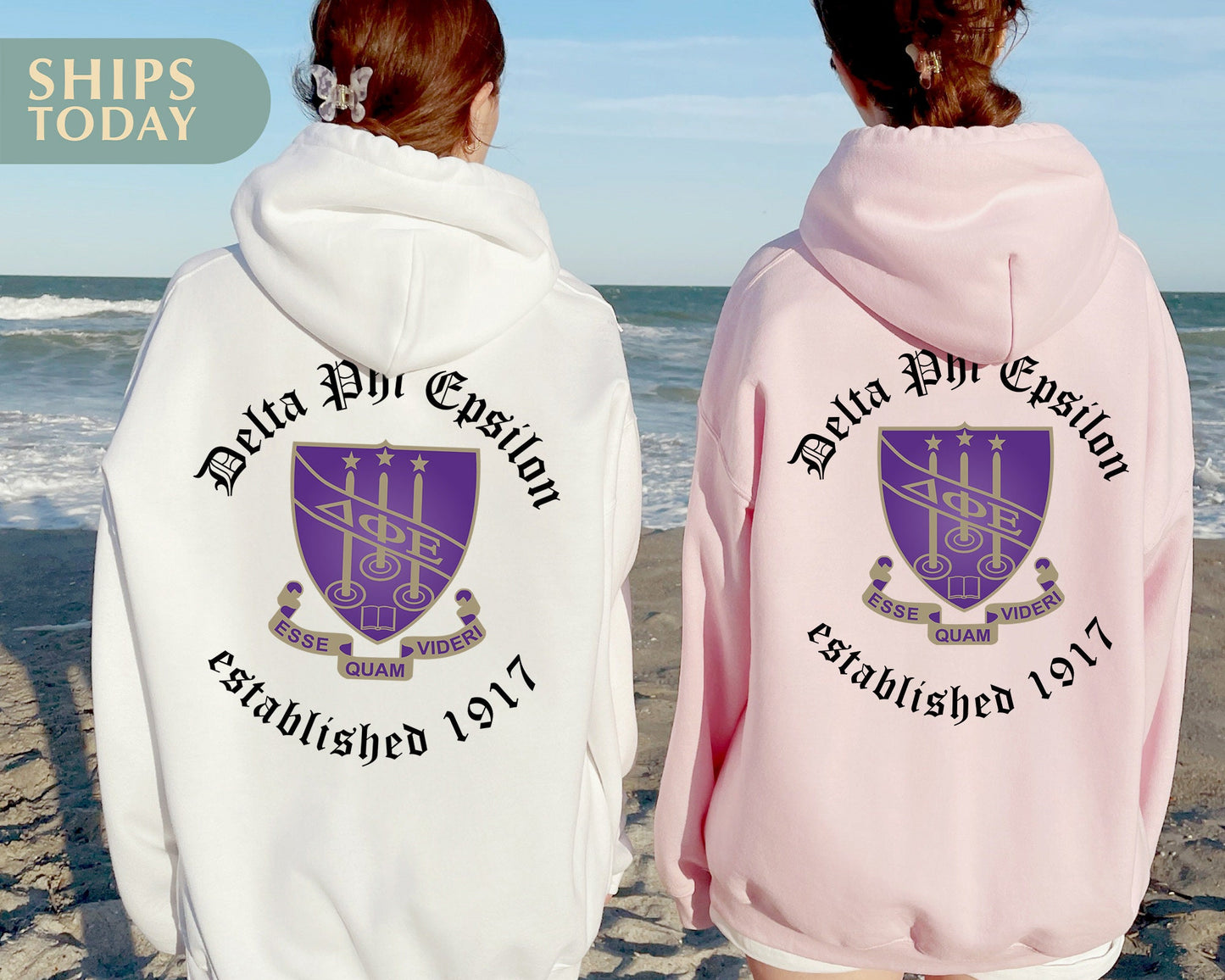 Delta Phi Epsilon Old English Crest Sorority Hoodie _ 32932g