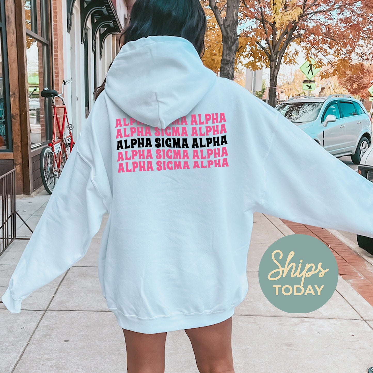 Alpha Sigma Alpha Pink Waves Sorority Hoodie _ 33082g