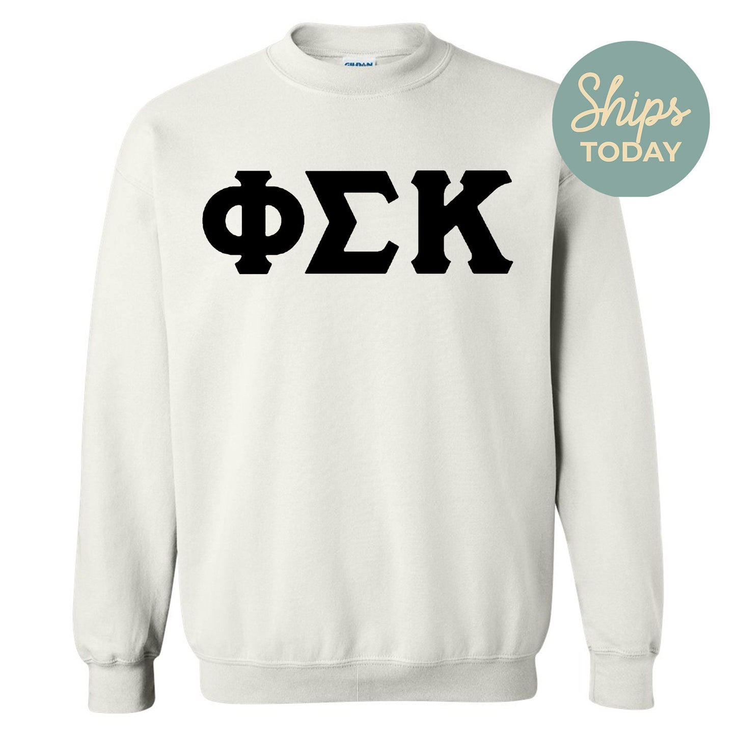 Phi Sigma Kappa Black Letters Fraternity Sweatshirt _ 34924g