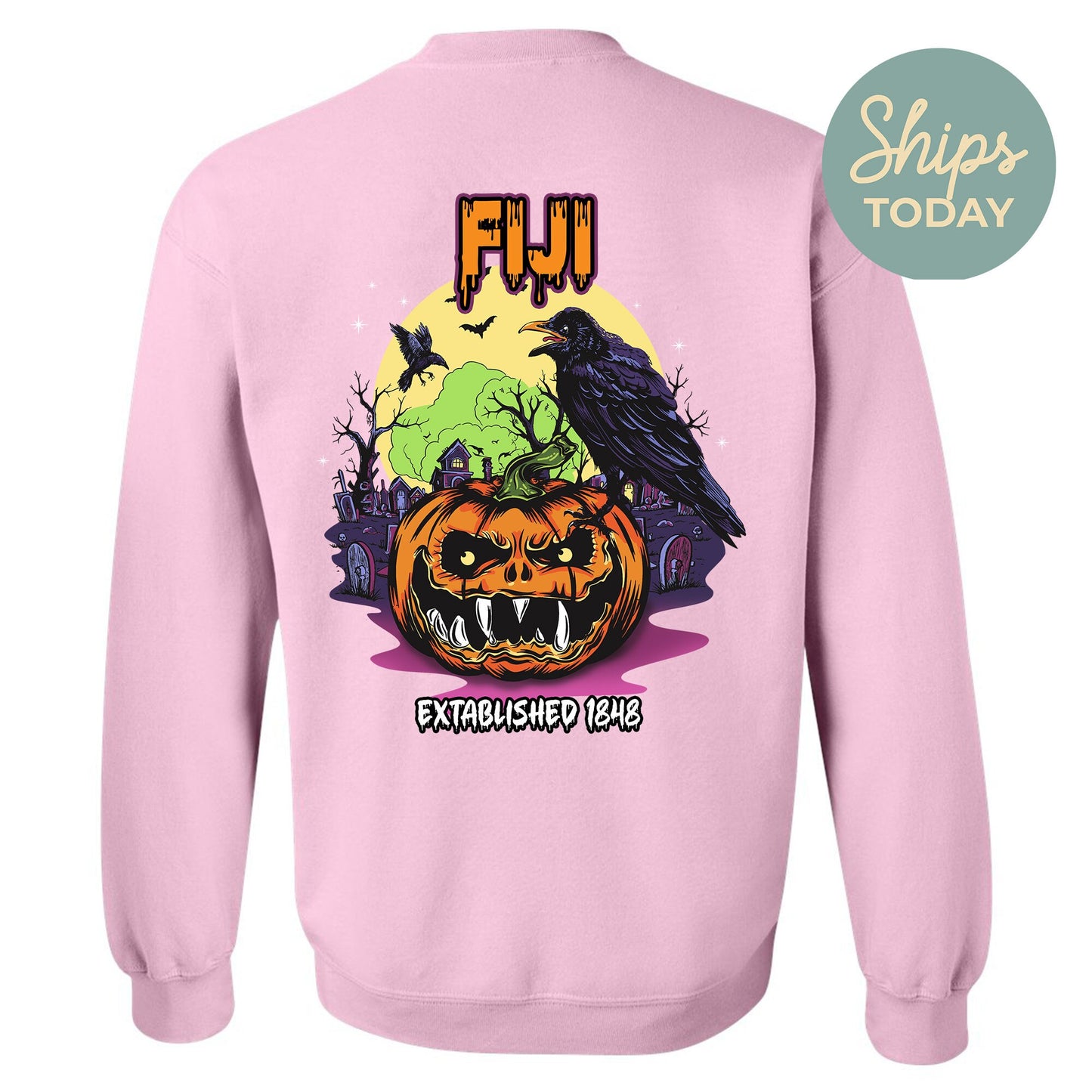 FIJI Halloween Bats Fraternity Sweatshirt _ 36266g