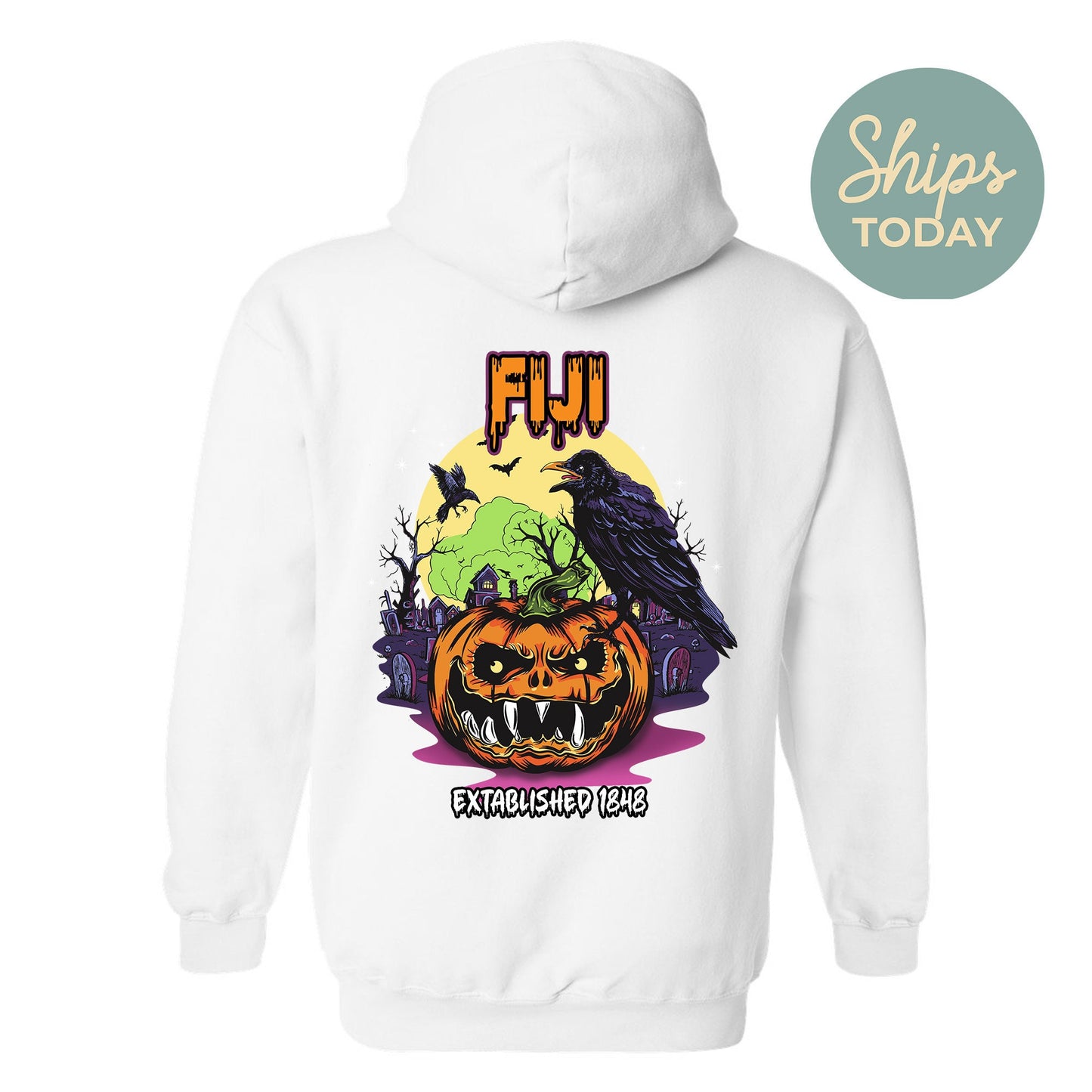 FIJI Halloween Bats Fraternity Hoodie _ 36266g