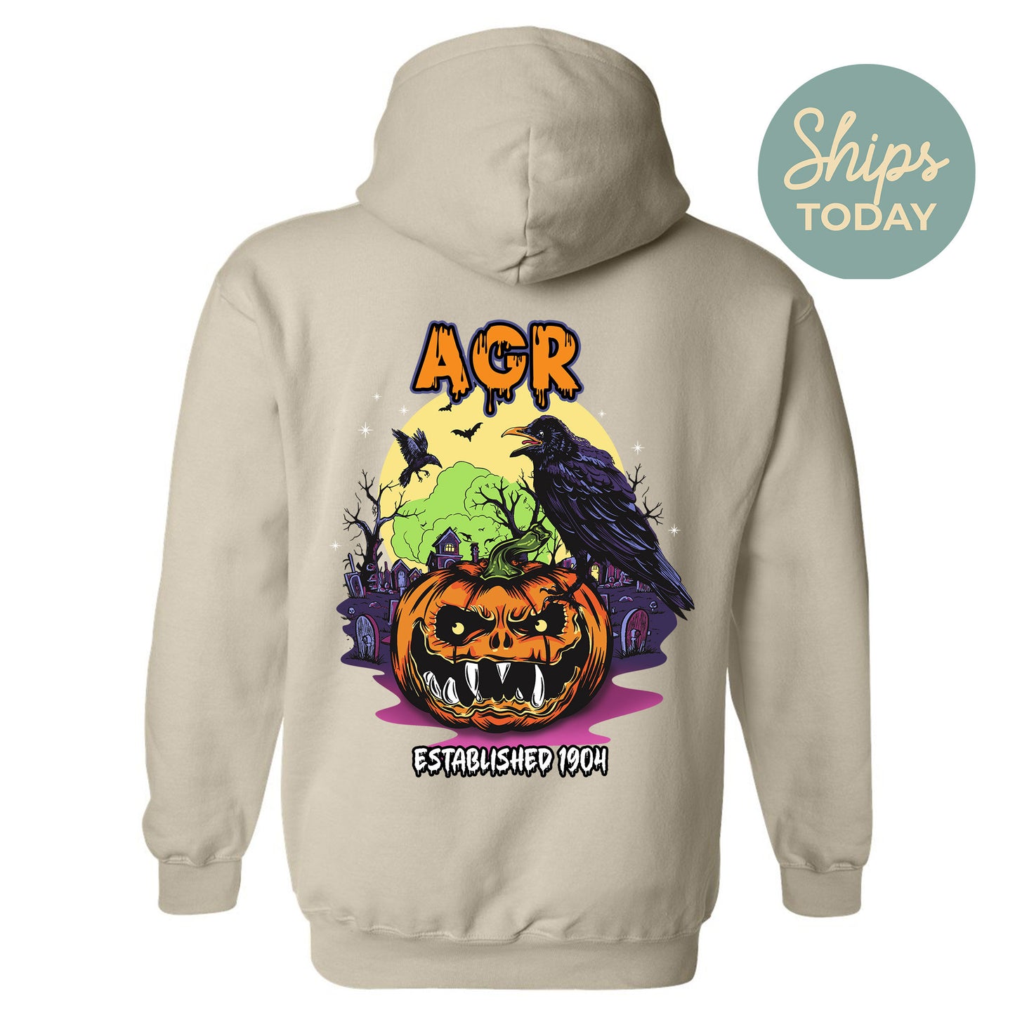 Alpha Gamma Rho Halloween Bats Fraternity Hoodie _ 36253g