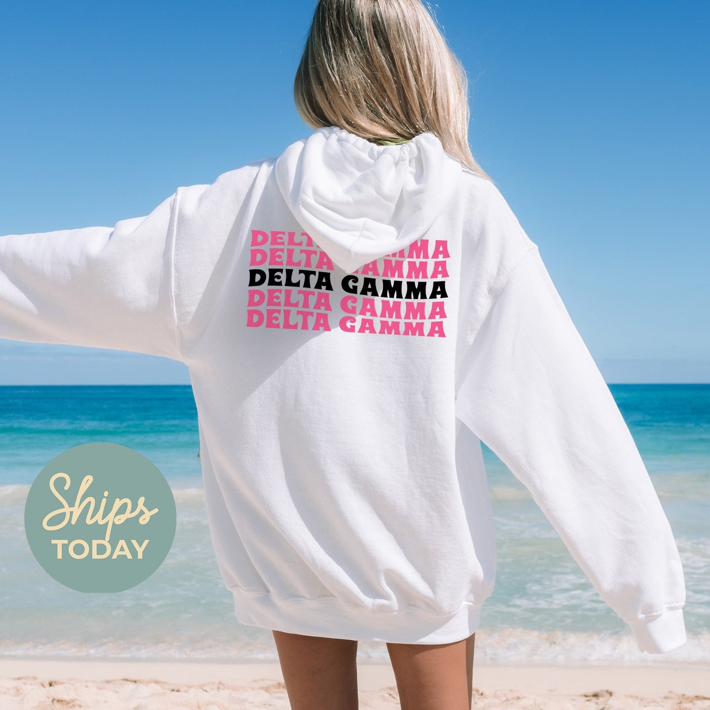 Delta Gamma Pink Waves Sorority Hoodie _ 33087g