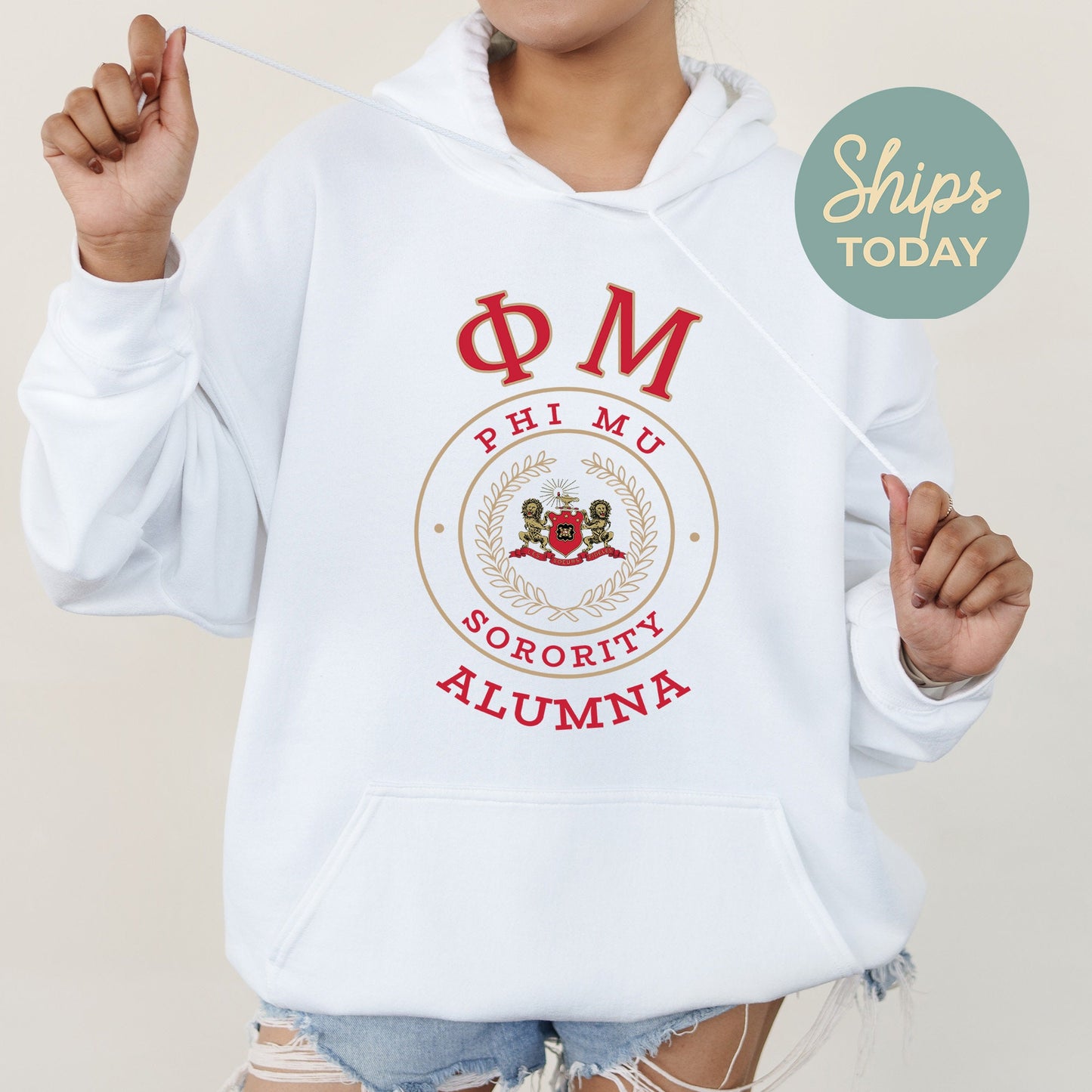 Phi Mu Alumna Vintage Sorority Hoodie _ 31027g