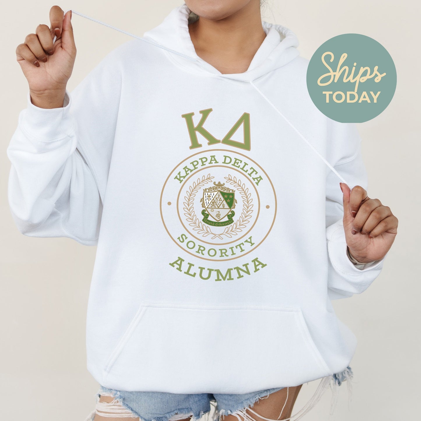 Kappa Delta Alumna Vintage Sorority Hoodie _ 31025g
