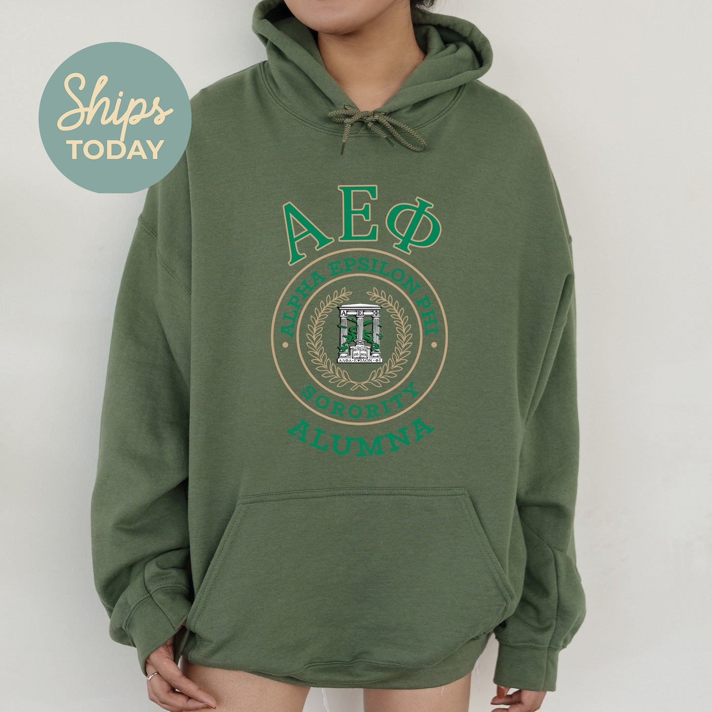 Alpha Epsilon Phi Alumna Vintage Sorority Hoodie _ 31011g