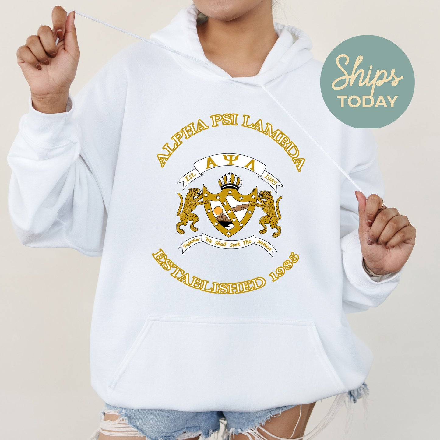 Alpha Psi Lambda Iconic Insignia COED Hoodie _ 35666g