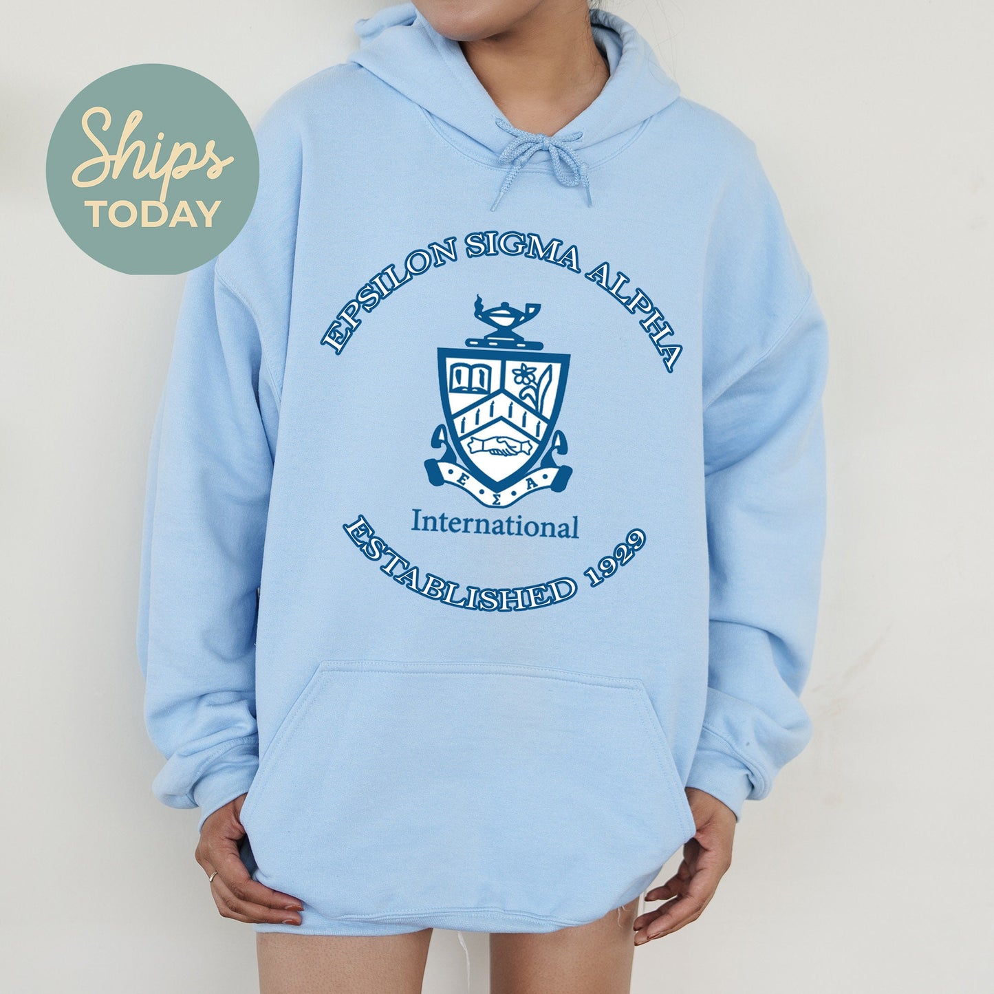 Epsilon Sigma Alpha Iconic Insignia COED Hoodie _ 35669g