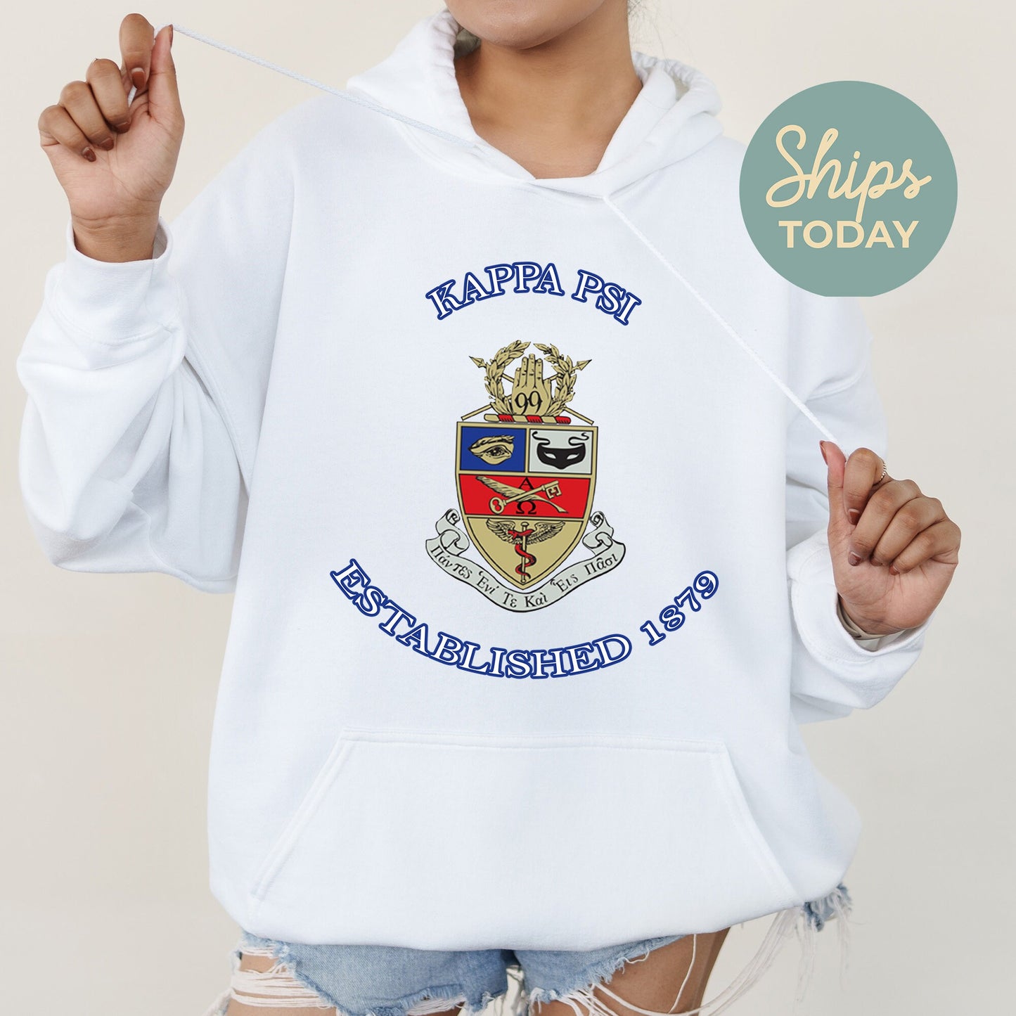 Kappa Psi Iconic Insignia COED Hoodie _ 35670g