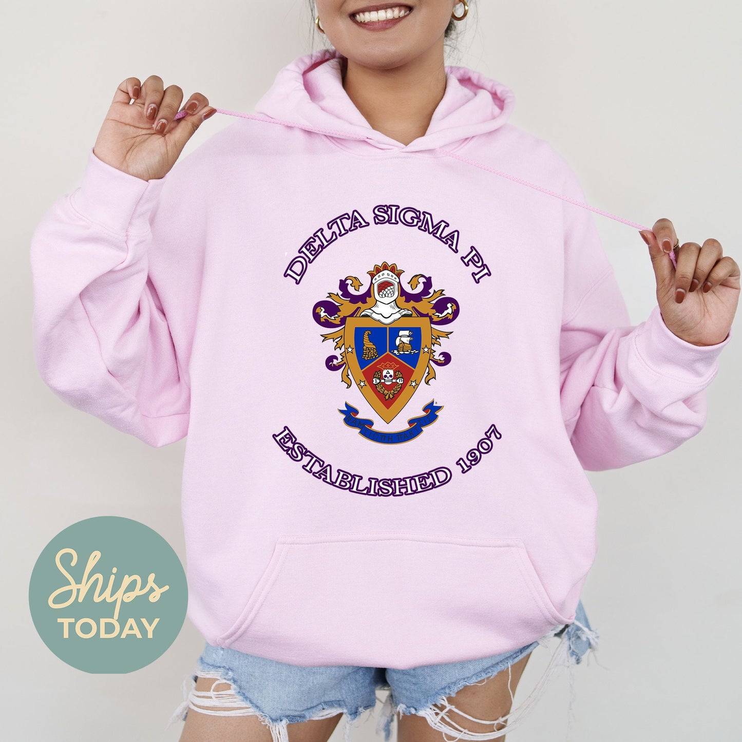 Delta Sigma Pi Iconic Insignia COED Hoodie _ 35668g