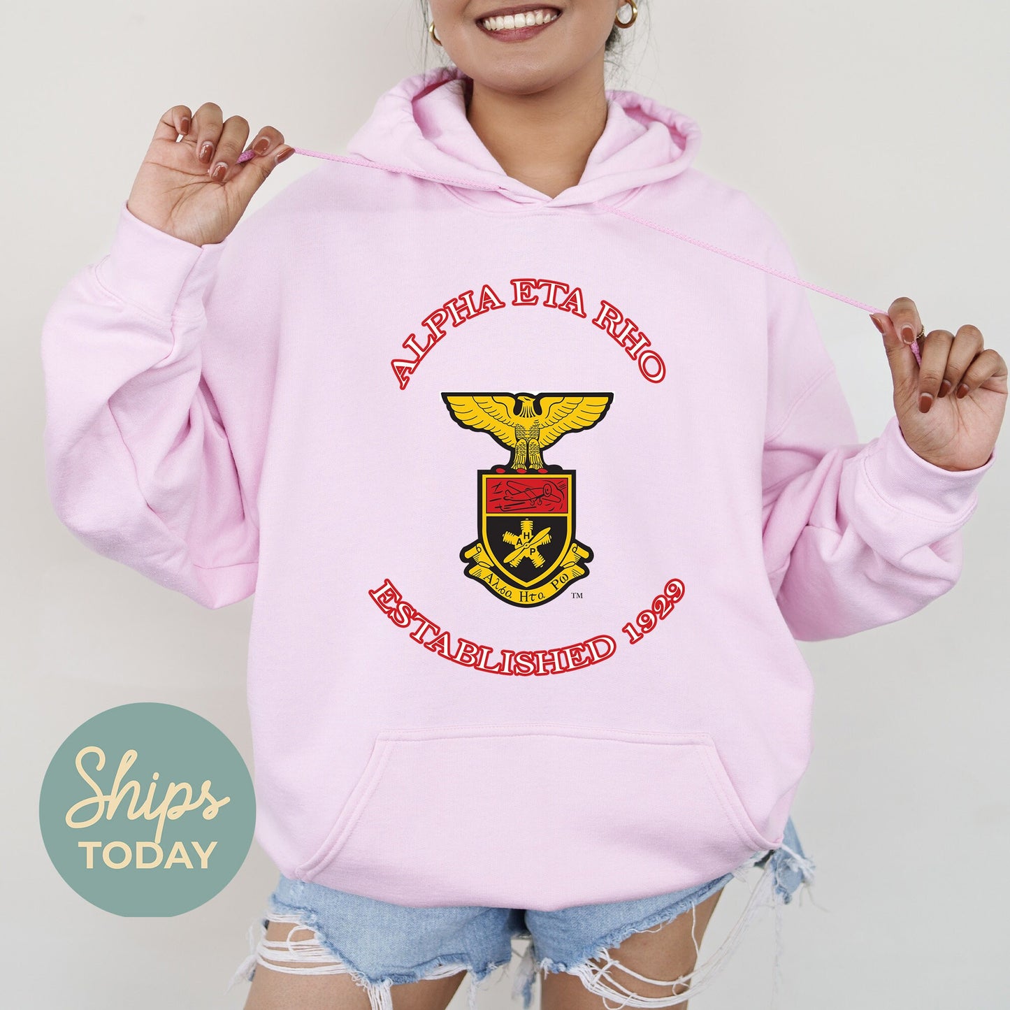 Alpha Eta Rho Iconic Insignia COED Hoodie _ 35663g
