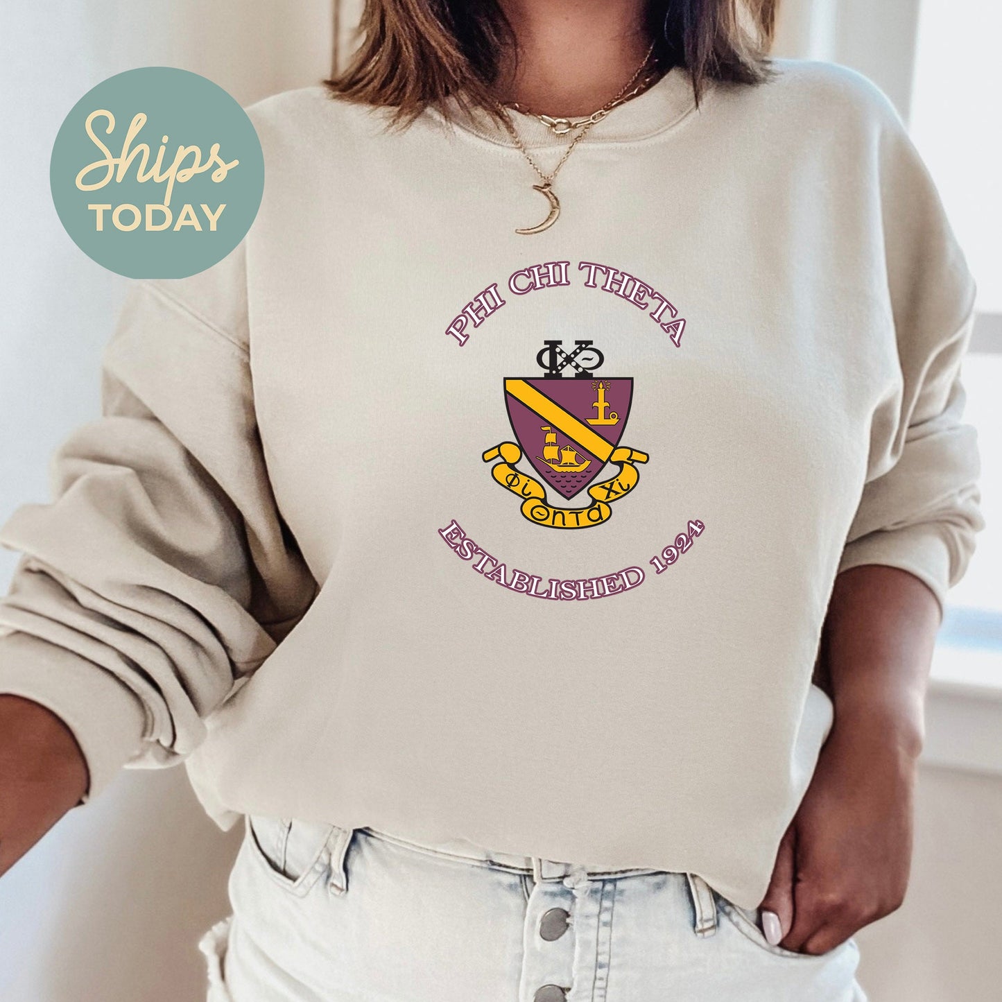 Phi Chi Theta Iconic Insignia COED Sweatshirt _ 35673g