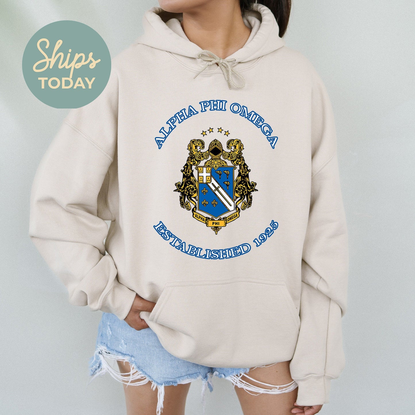 Alpha Phi Omega Iconic Insignia COED Hoodie _ 35665g