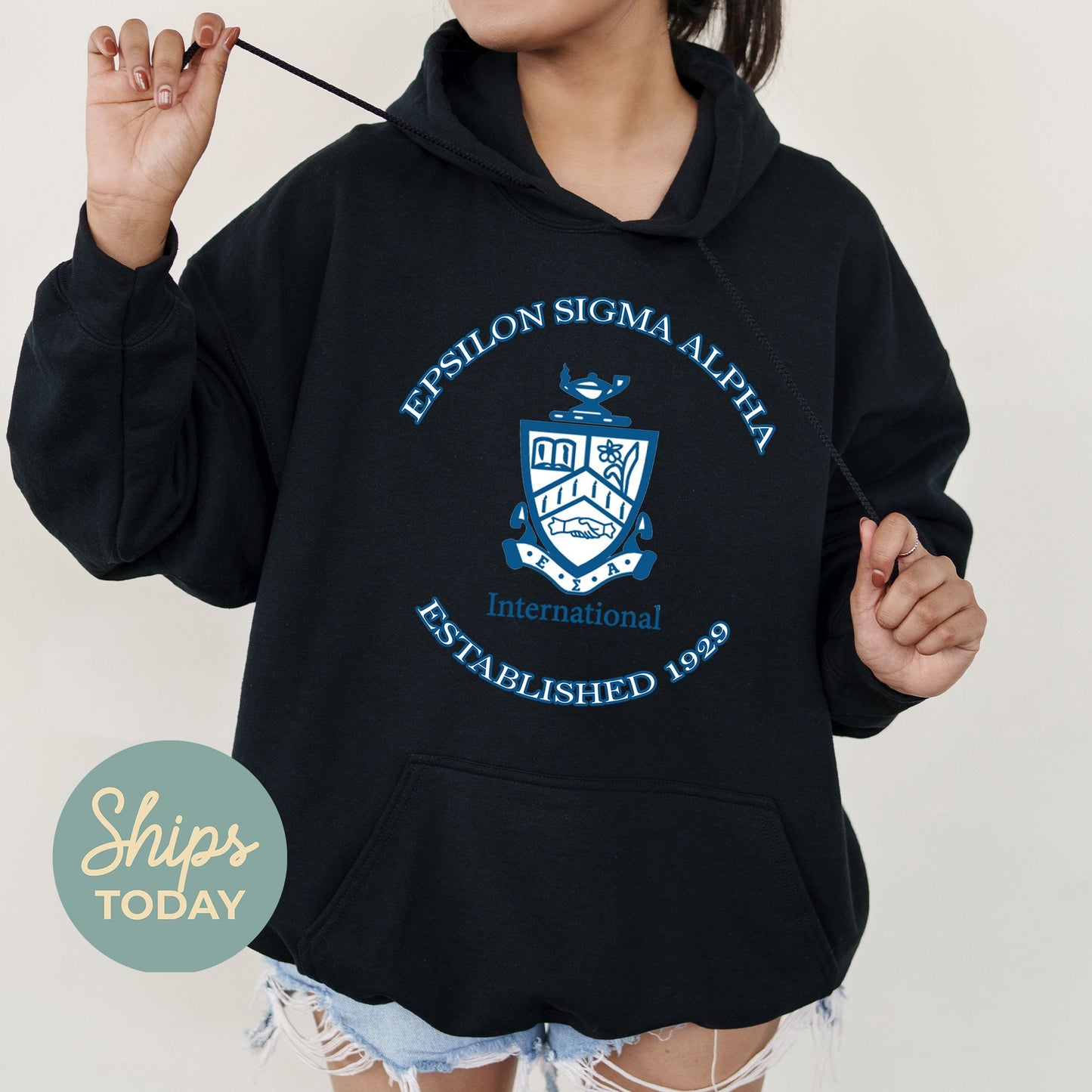 Epsilon Sigma Alpha Iconic Insignia COED Hoodie _ 35669g