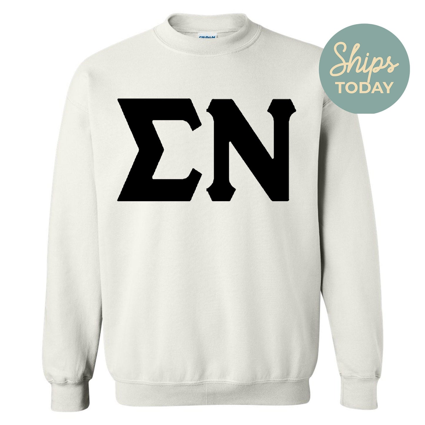 Sigma Nu Black Letters Fraternity Sweatshirt _ 34930g