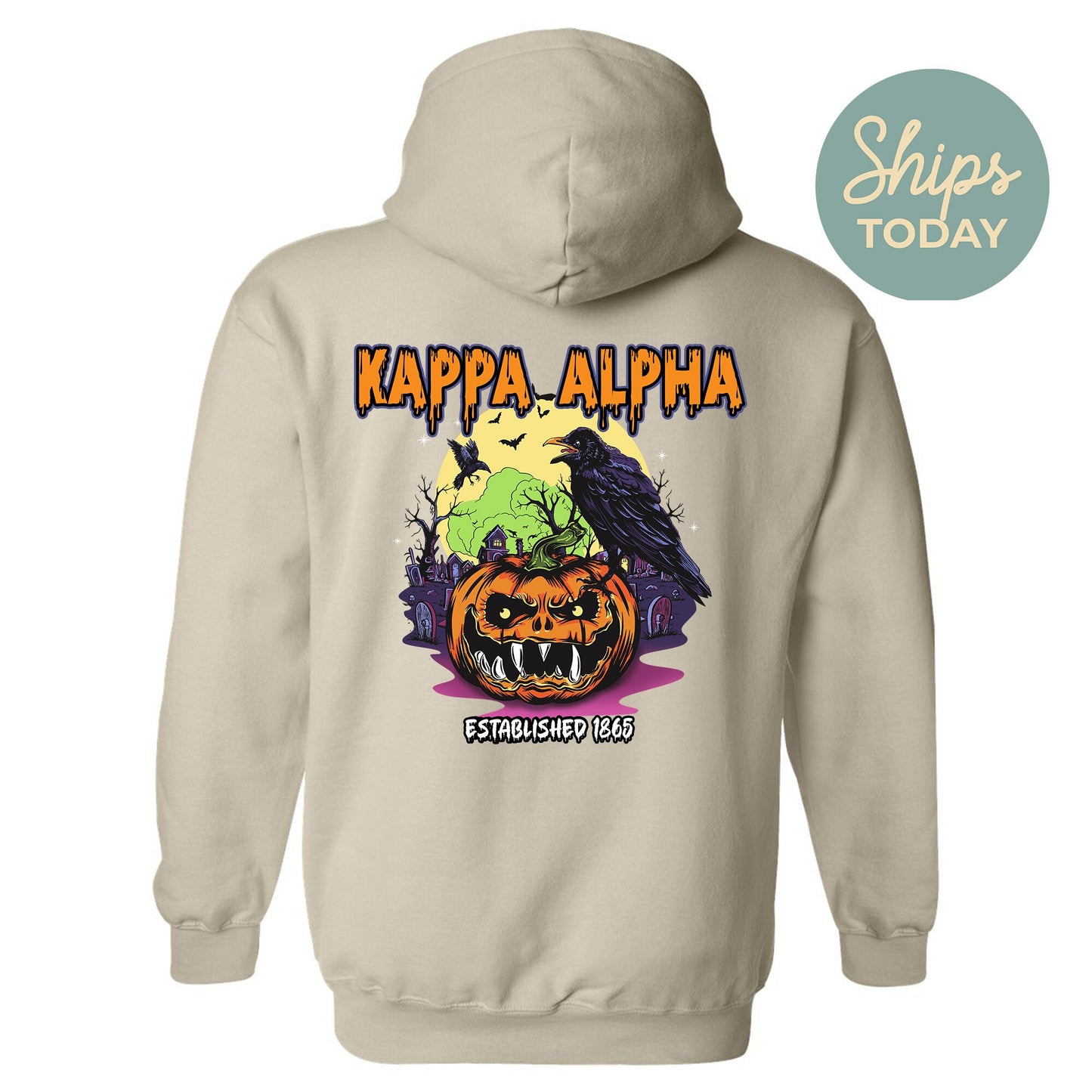 Kappa Alpha Order Halloween Bats Fraternity Hoodie _ 36262g