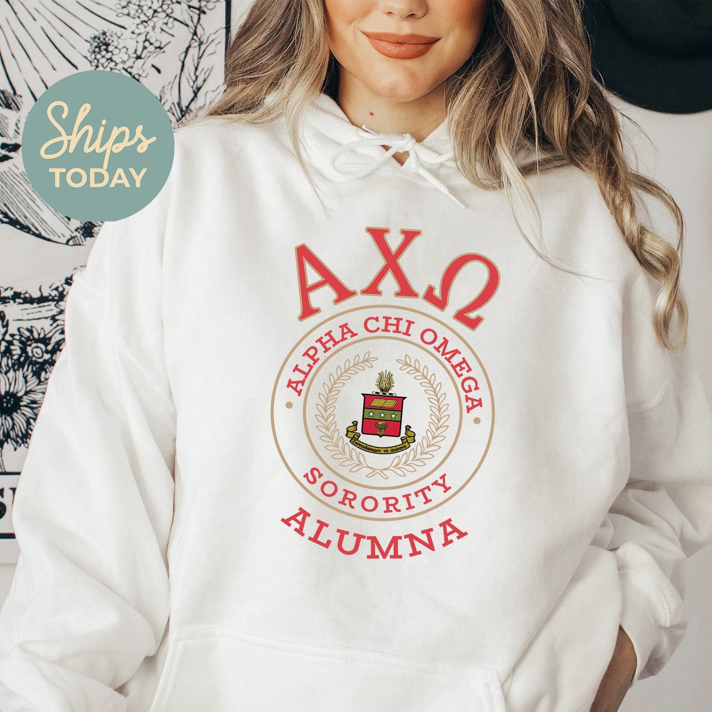 Alpha Chi Omega Alumna Vintage Sorority Hoodie _ 31009g