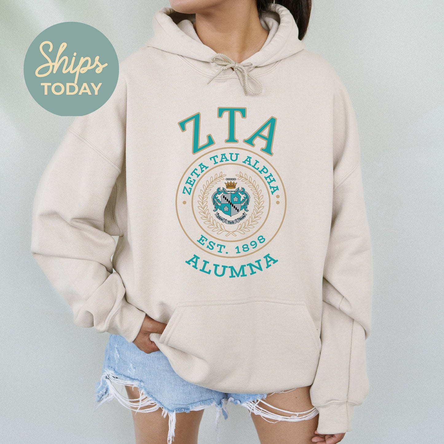 Zeta Tau Alpha Alumna Vintage Sorority Hoodie _ 31034g
