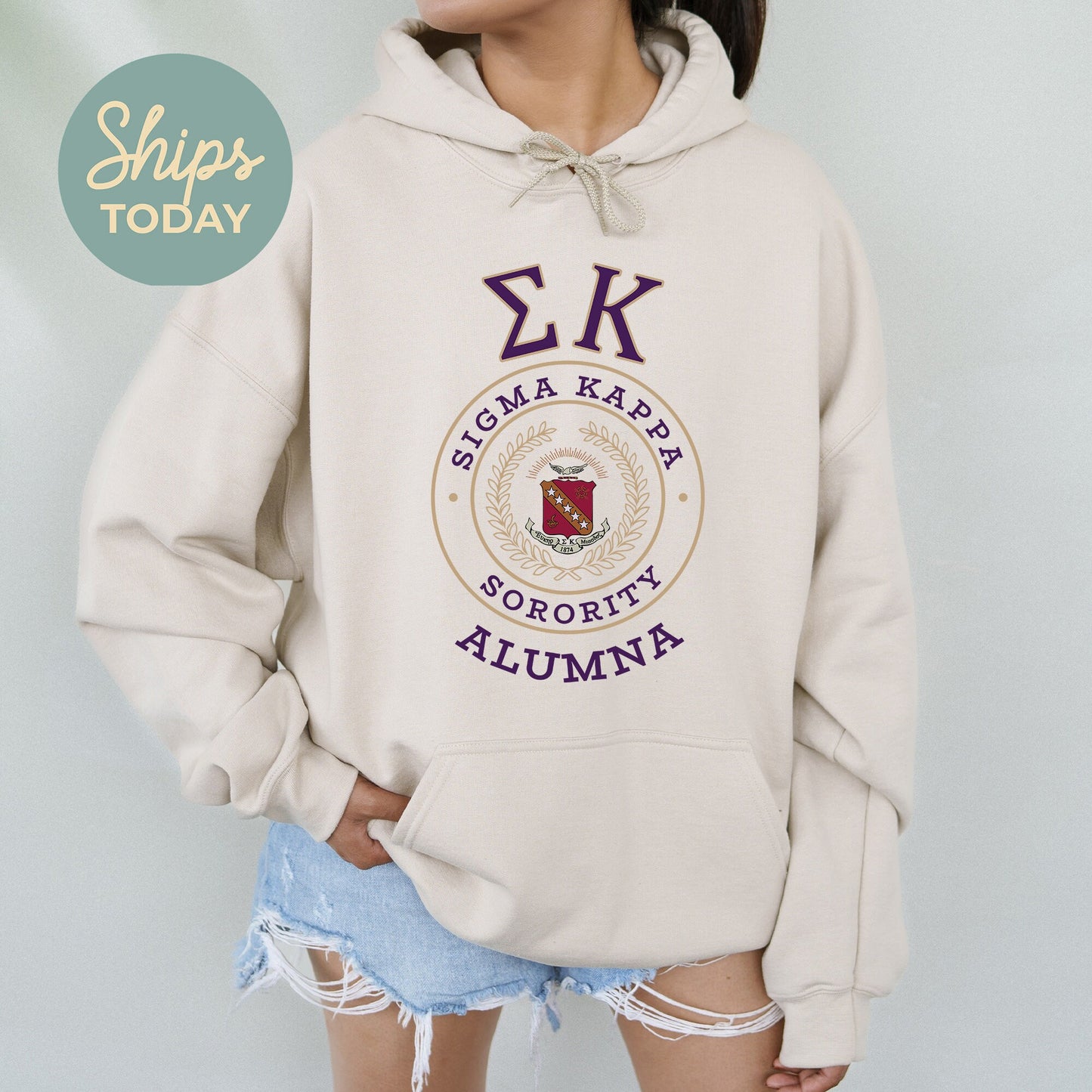 Sigma Kappa Alumna Vintage Sorority Hoodie _ 31031g