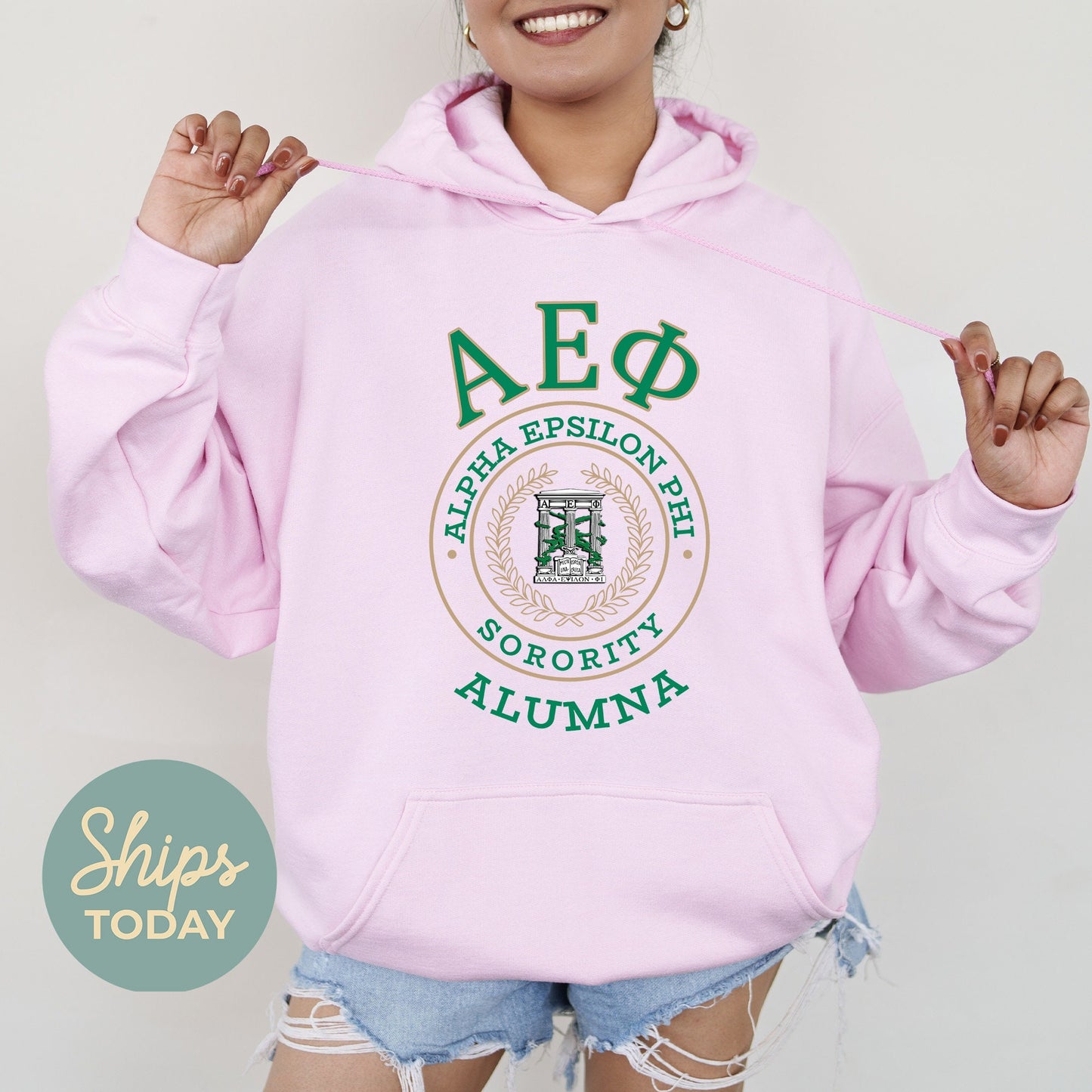 Alpha Epsilon Phi Alumna Vintage Sorority Hoodie _ 31011g