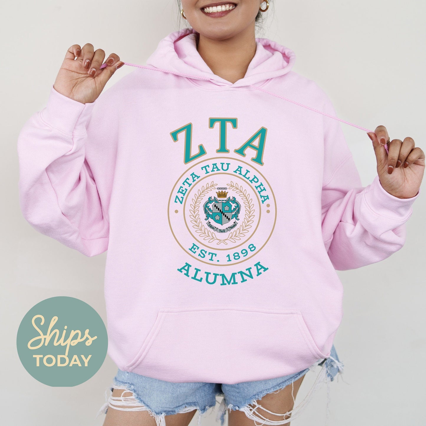 Zeta Tau Alpha Alumna Vintage Sorority Hoodie _ 31034g