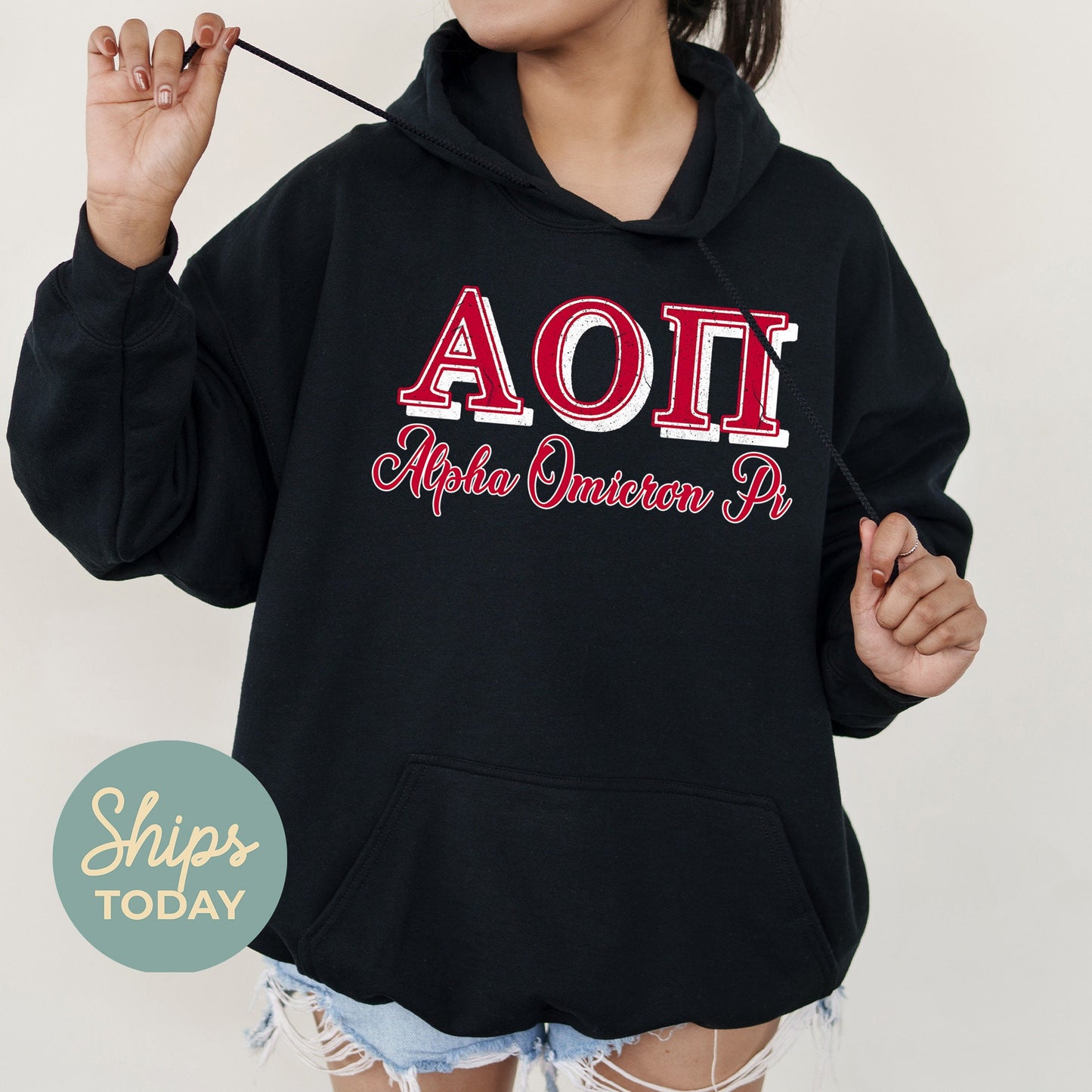 Alpha Omicron Pi Greek Colors Sorority Hoodie _ 36073g