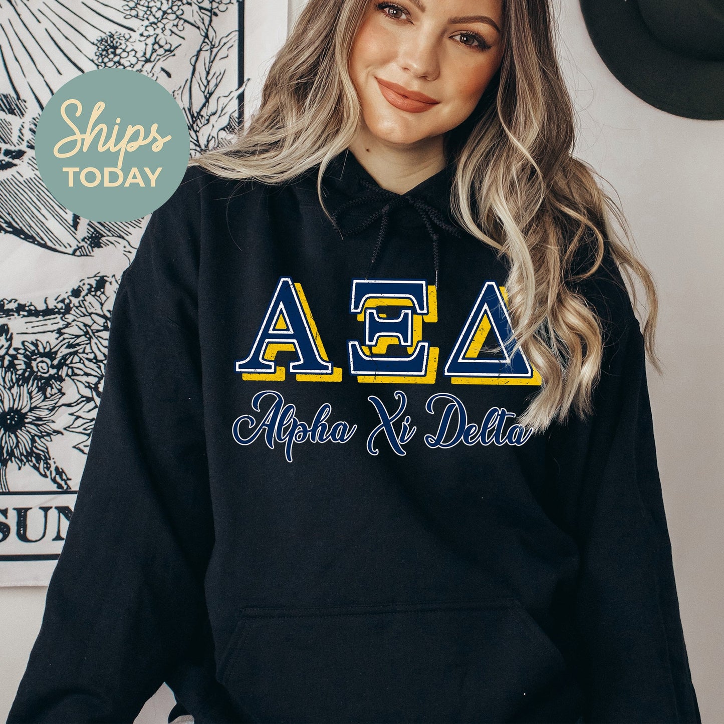 Alpha Xi Delta Greek Colors Sorority Hoodie _ 36077g