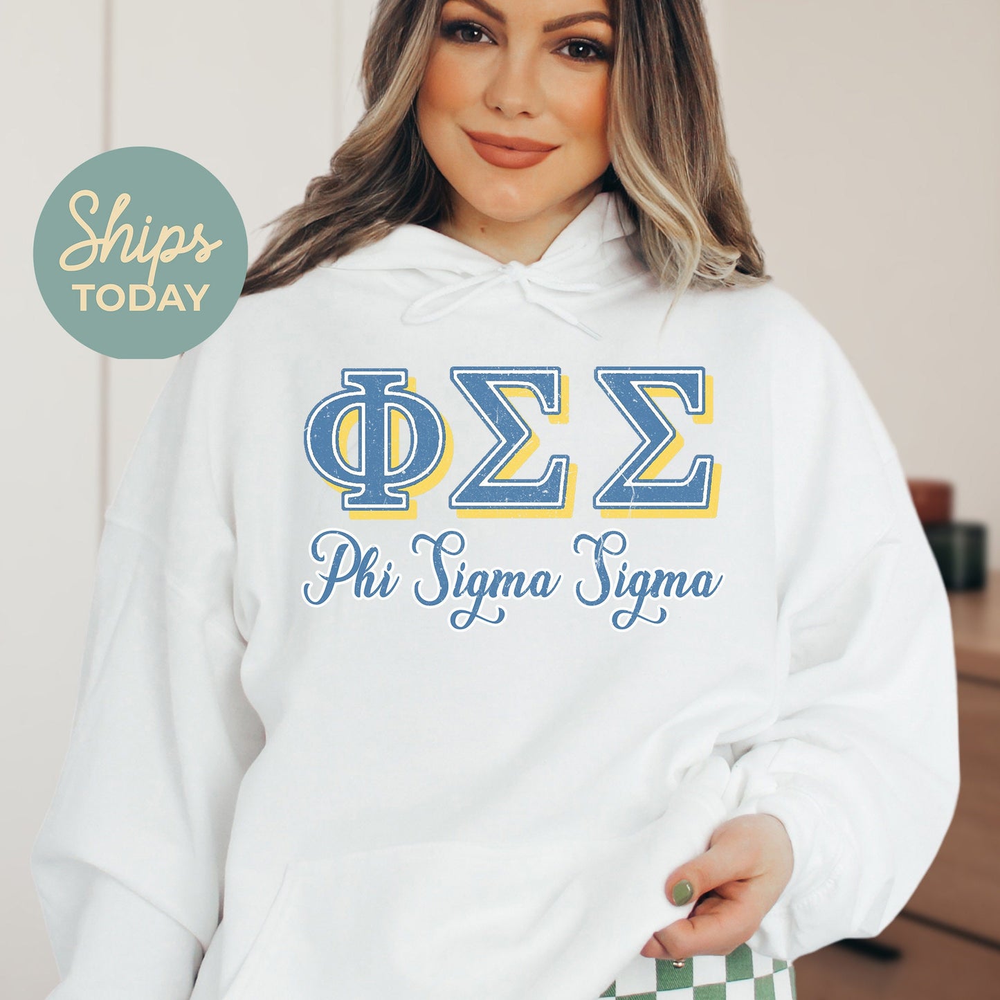 Phi Sigma Sigma Greek Colors Sorority Hoodie _ 36088g
