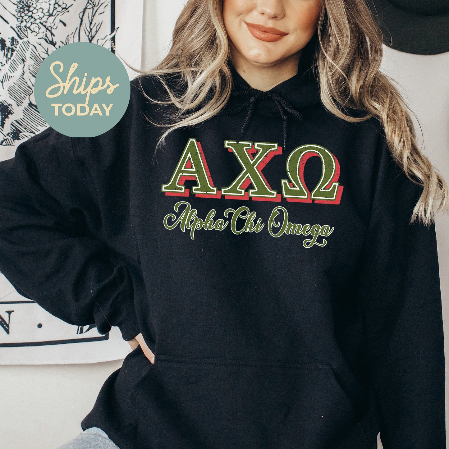 Alpha Chi Omega Greek Colors Sorority Hoodie _ 36069g