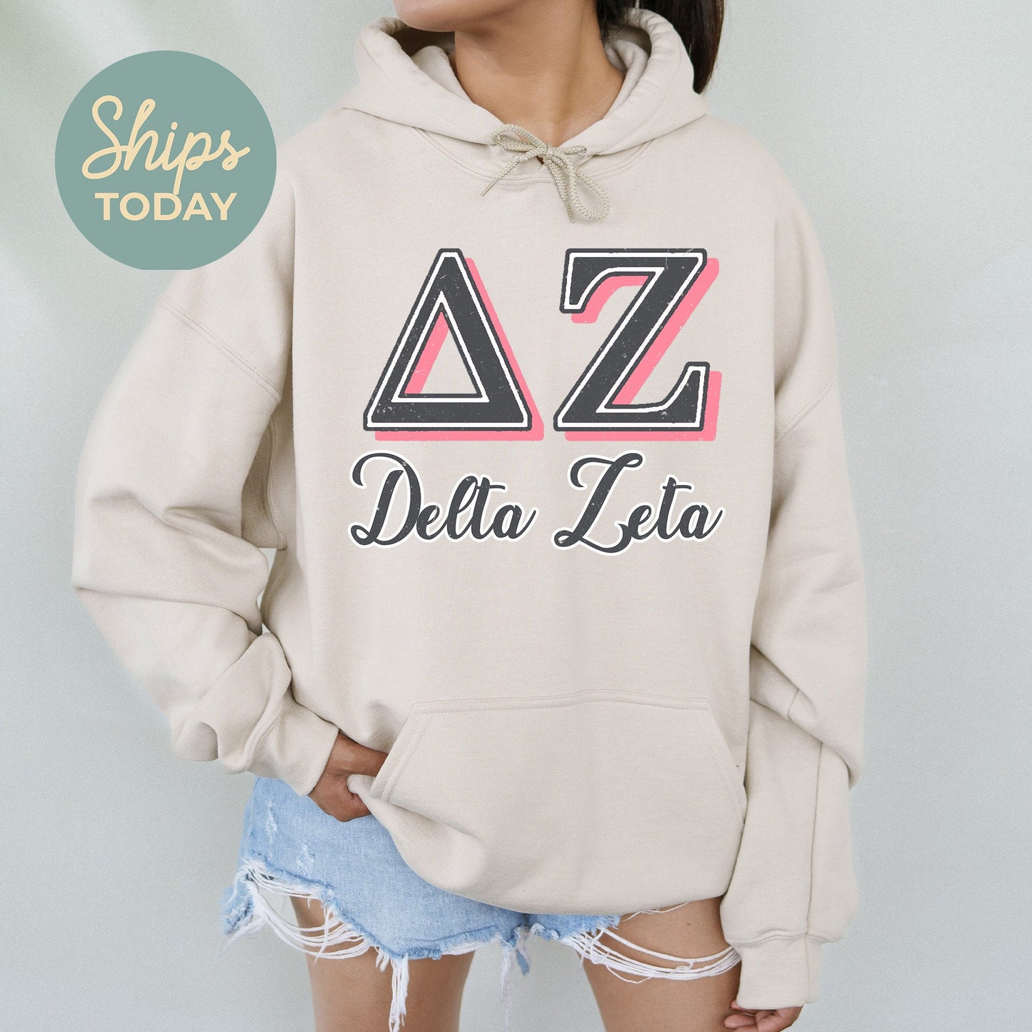 Delta Zeta Greek Colors Sorority Hoodie _ 36082g