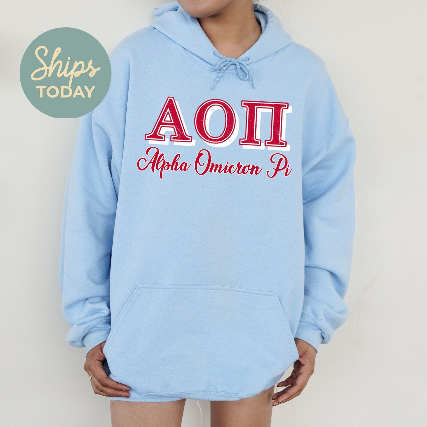 Alpha Omicron Pi Greek Colors Sorority Hoodie _ 36073g