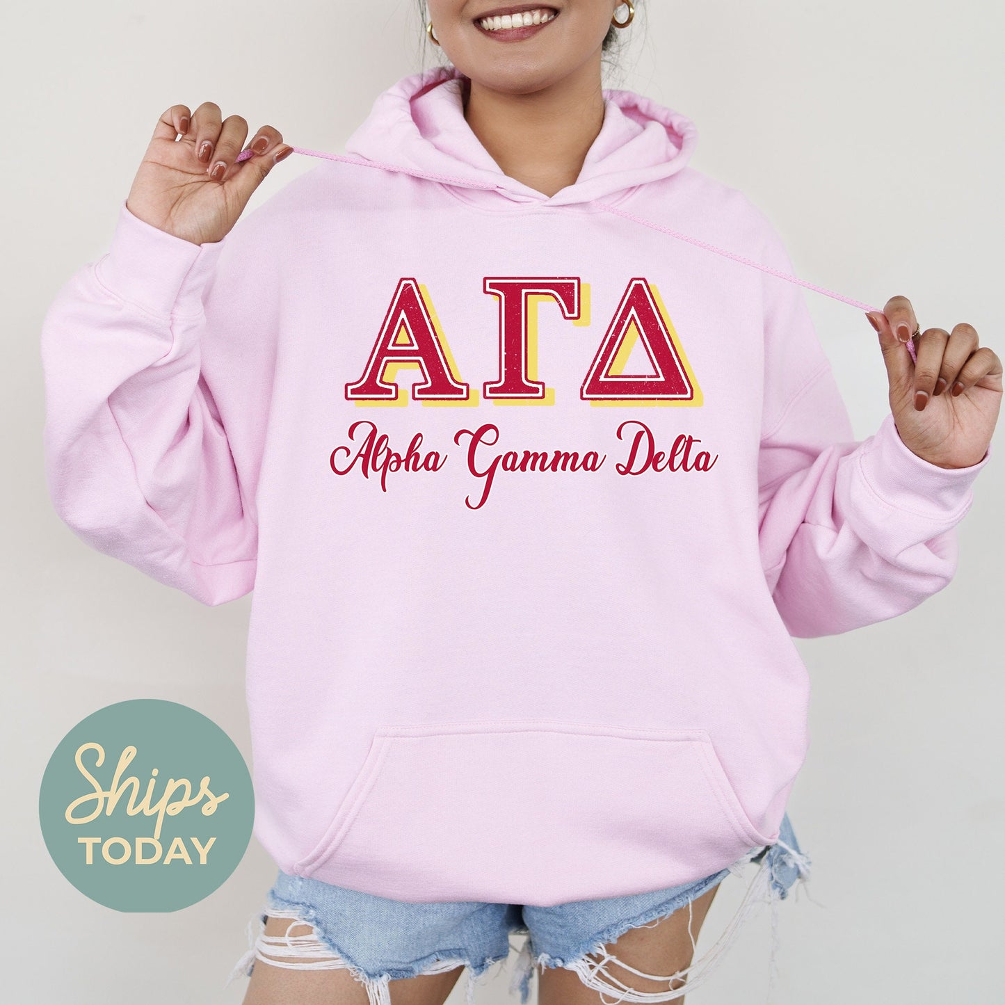 Alpha Gamma Delta Greek Colors Sorority Hoodie _ 36072g