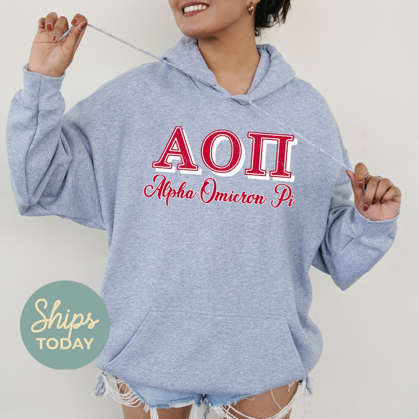 Alpha Omicron Pi Greek Colors Sorority Hoodie _ 36073g
