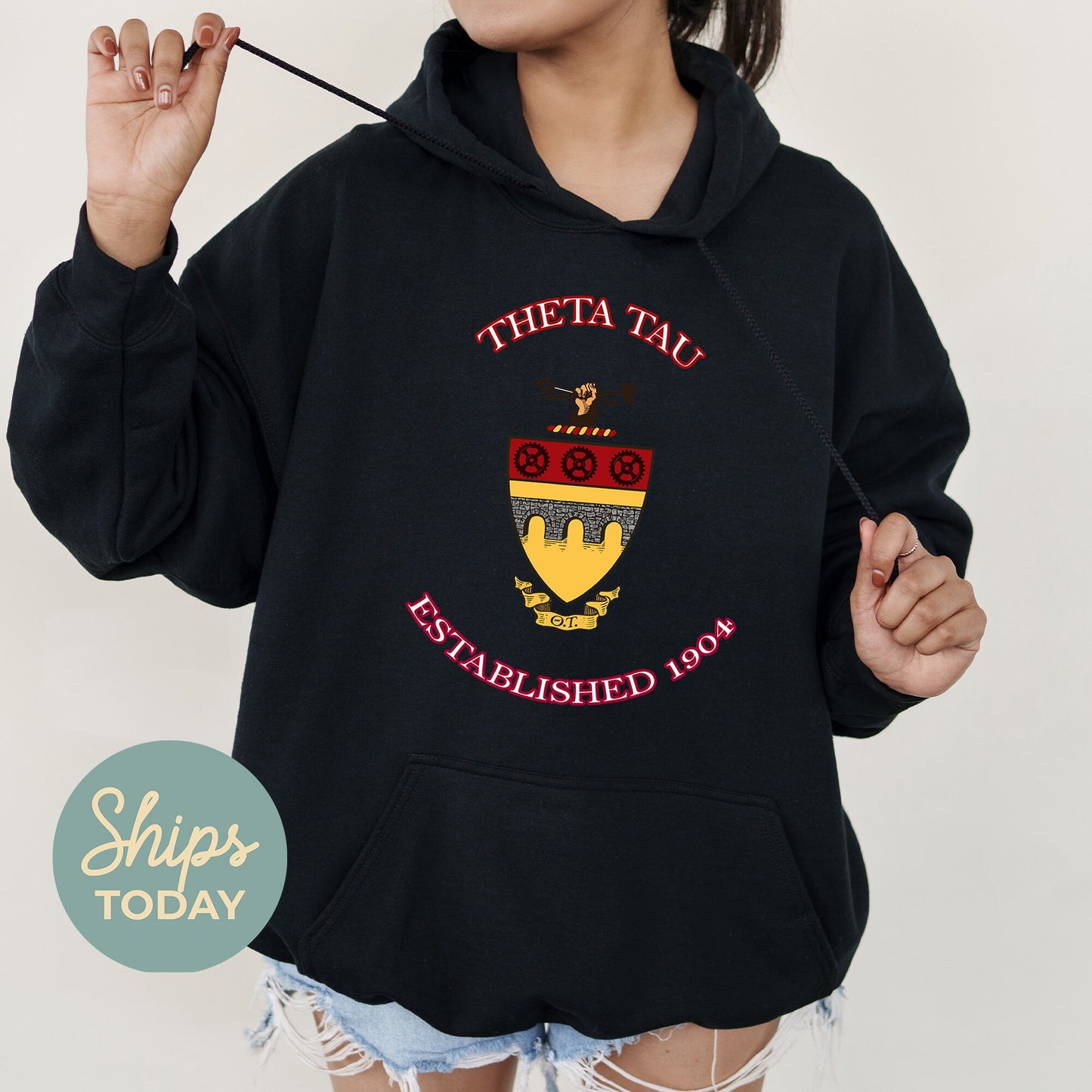 Theta Tau Iconic Insignia COED Hoodie _ 35678g