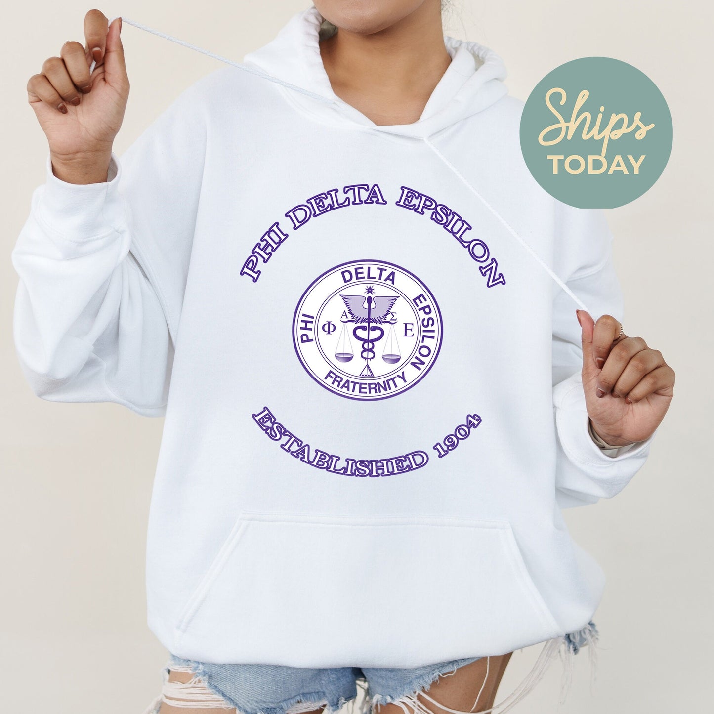 Phi Delta Epsilon Iconic Insignia COED Hoodie _ 35674g