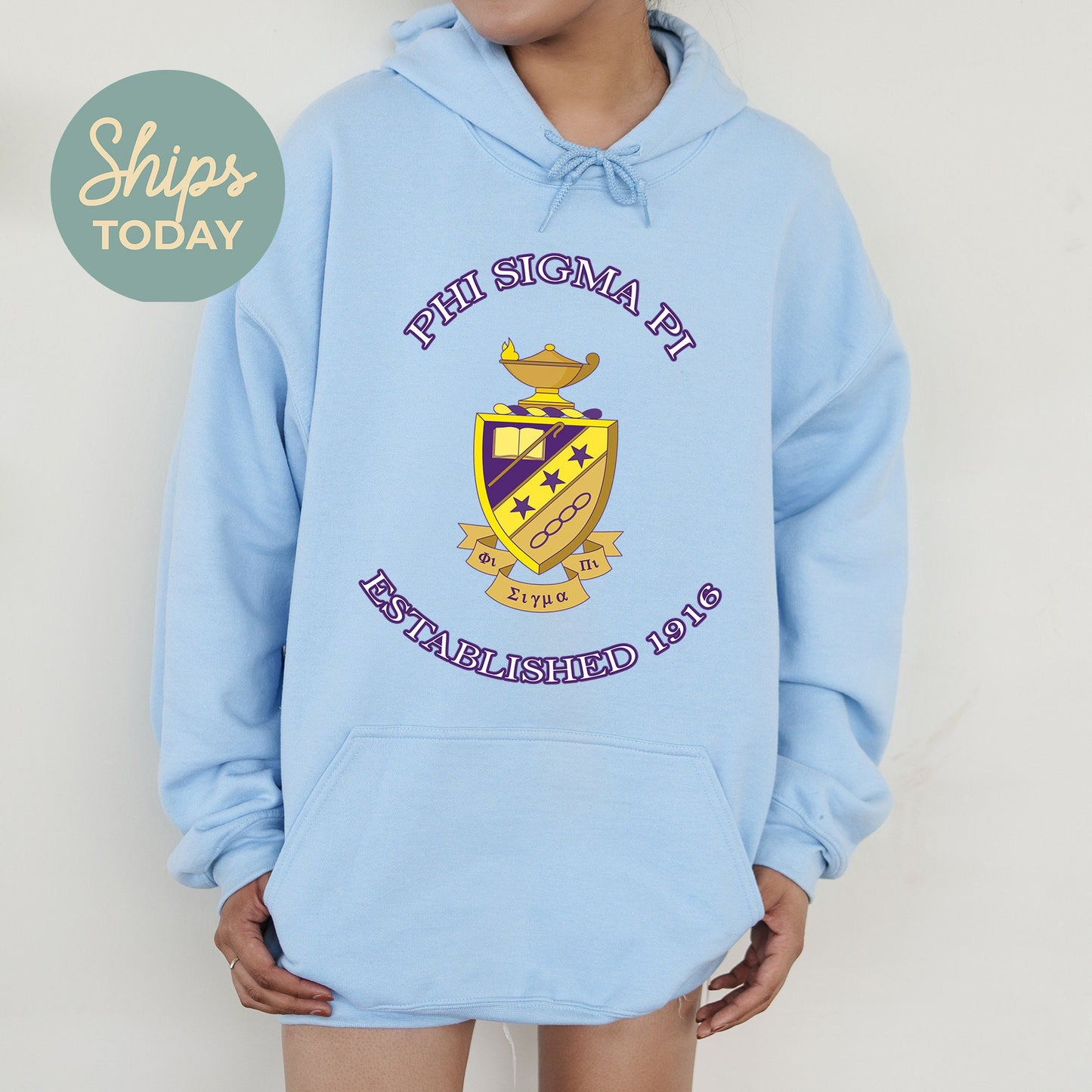 Phi Sigma Pi Iconic Insignia COED Hoodie _ 35675g