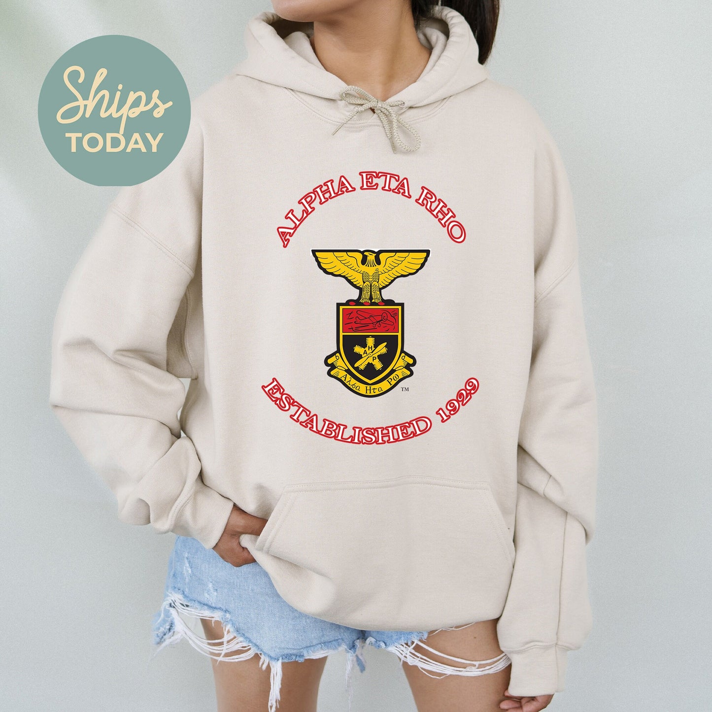 Alpha Eta Rho Iconic Insignia COED Hoodie _ 35663g