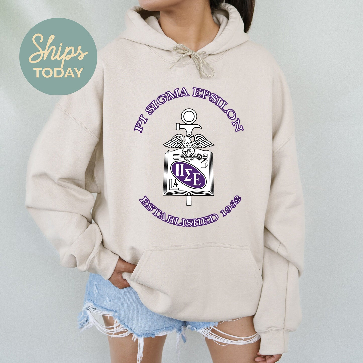 Pi Sigma Epsilon Iconic Insignia COED Hoodie _ 35676g