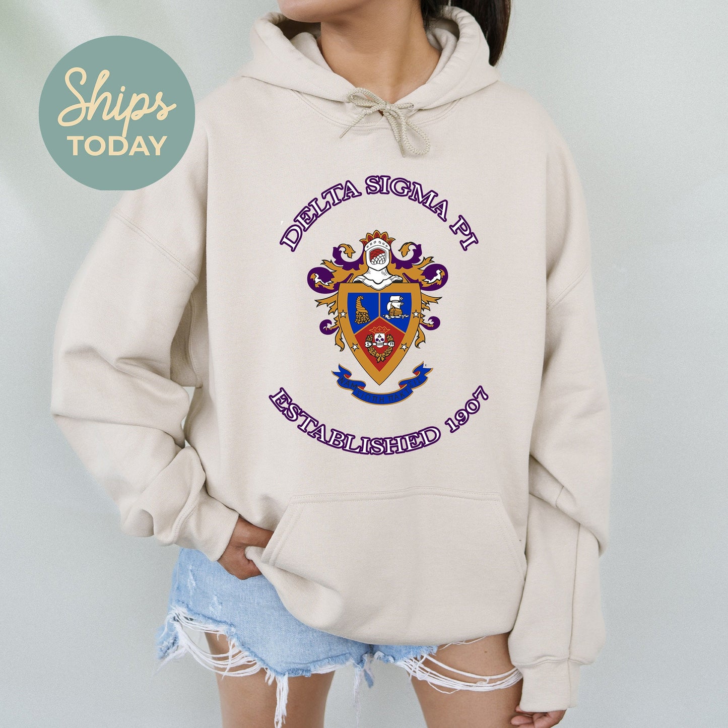 Delta Sigma Pi Iconic Insignia COED Hoodie _ 35668g