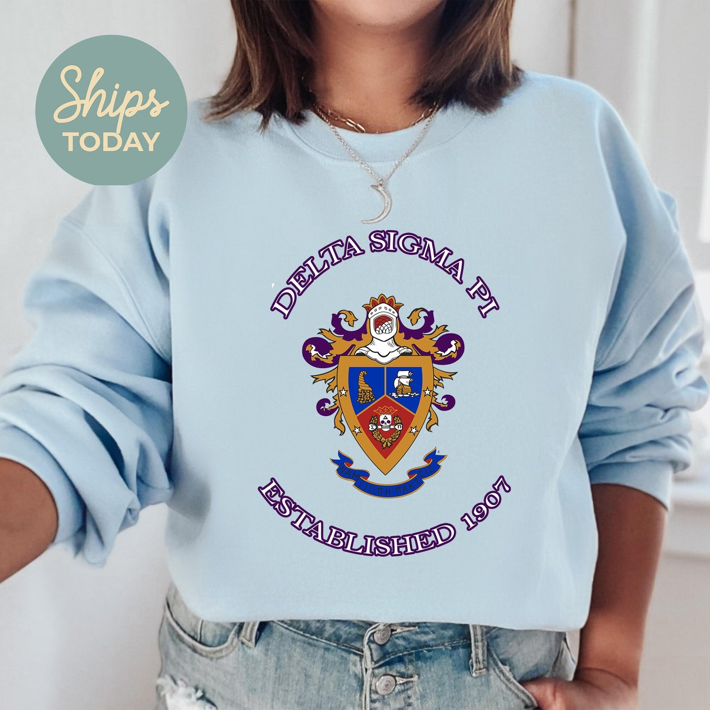 Delta Sigma Pi Iconic Insignia COED Sweatshirt _ 35668g