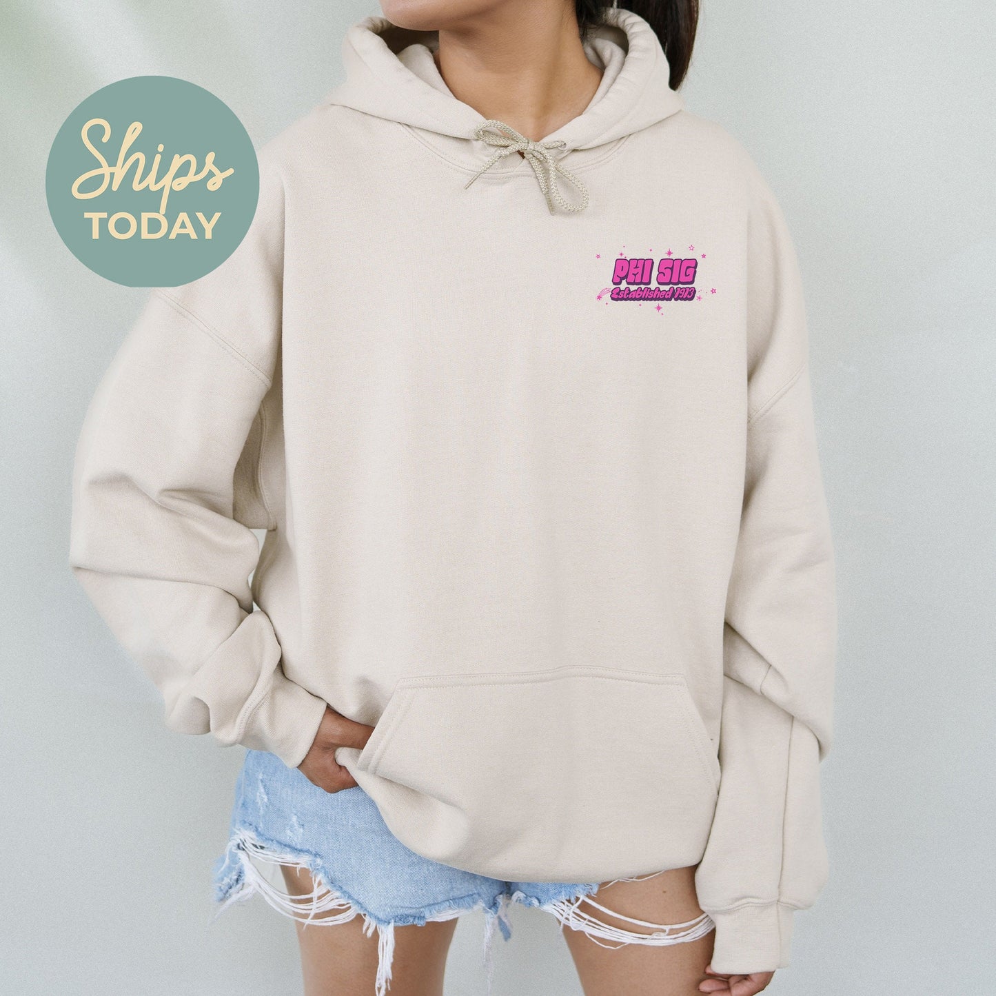 Phi Sigma Sigma Ombre Worlds Sorority Hoodie _ 35560g