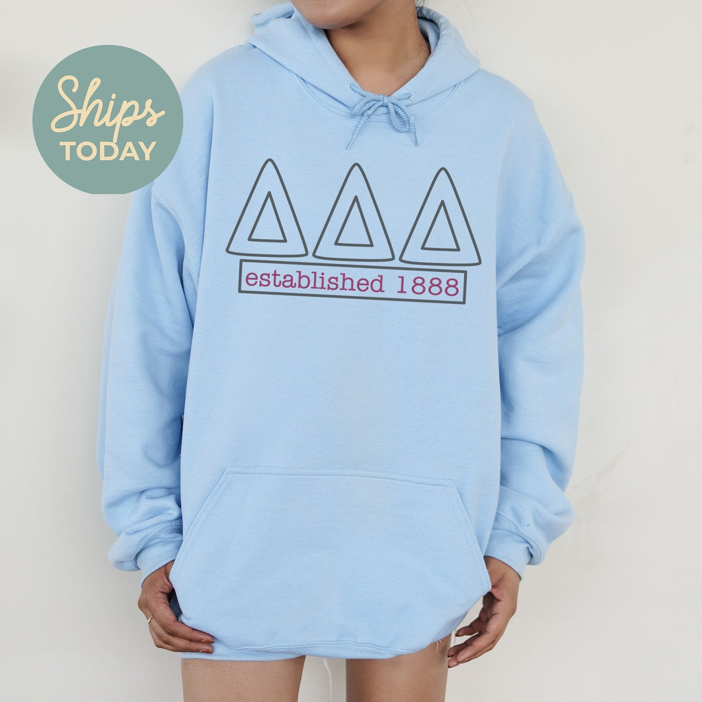 Delta Delta Delta Simply Greek Sorority Hoodie _ 39346g