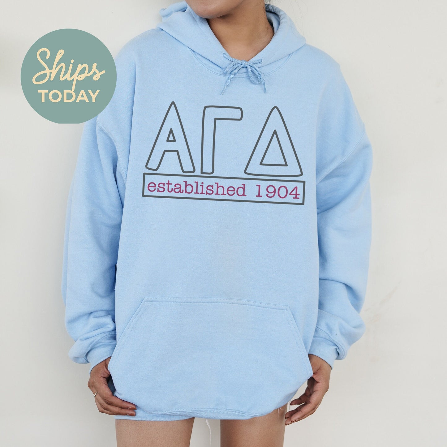 Alpha Gamma Delta Simply Greek Sorority Hoodie _ 39339g