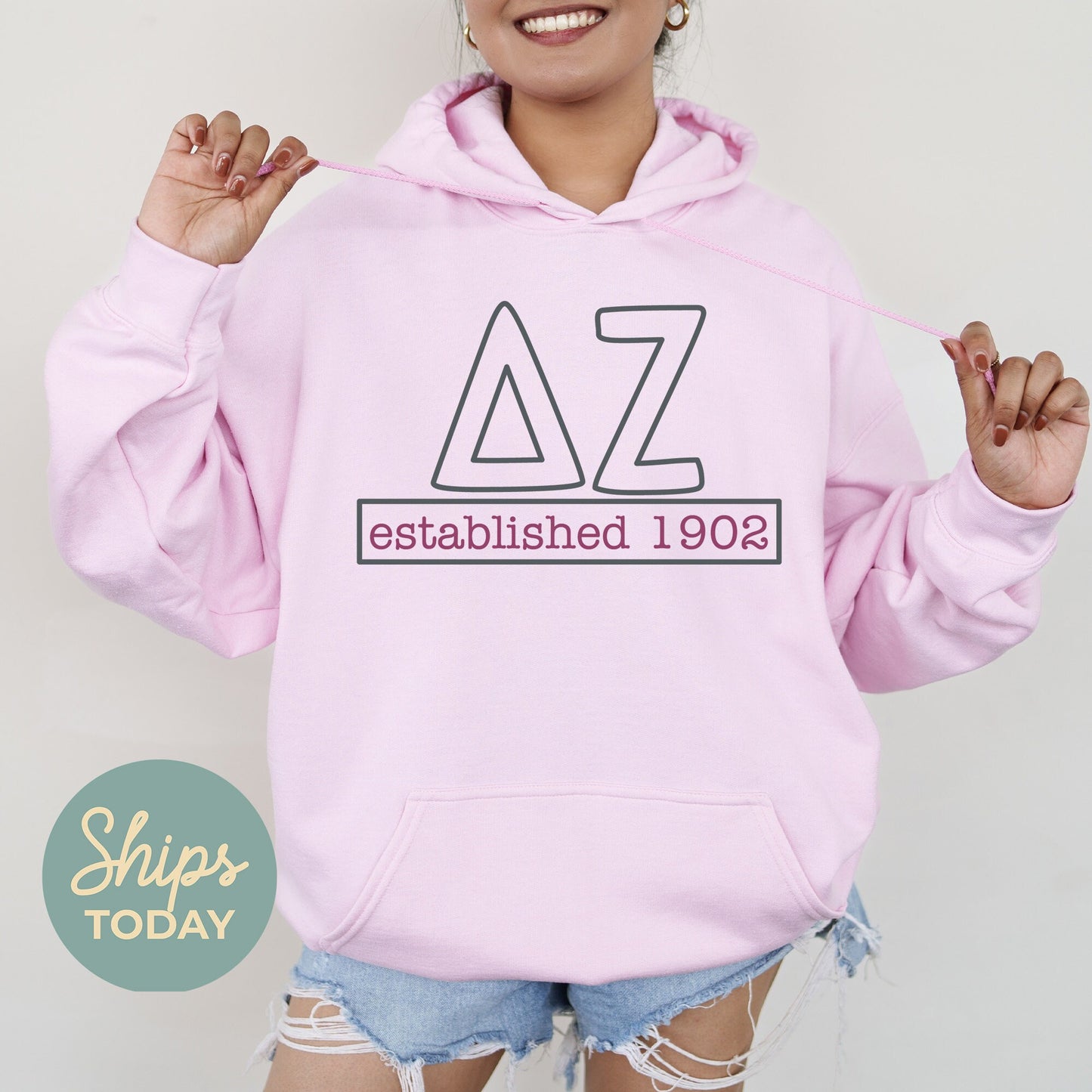 Delta Zeta Simply Greek Sorority Hoodie _ 39349g