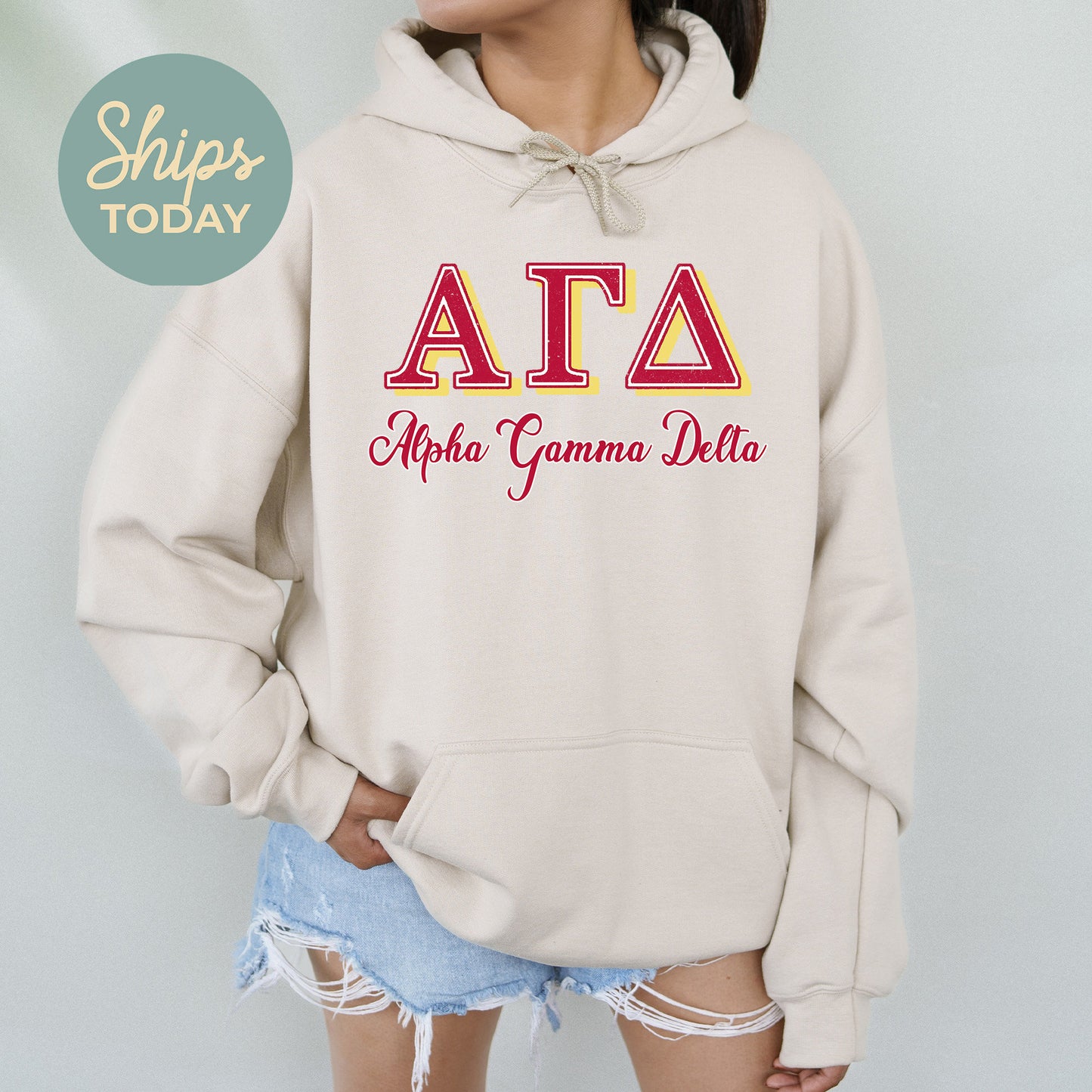 Alpha Gamma Delta Greek Colors Sorority Hoodie _ 36072g