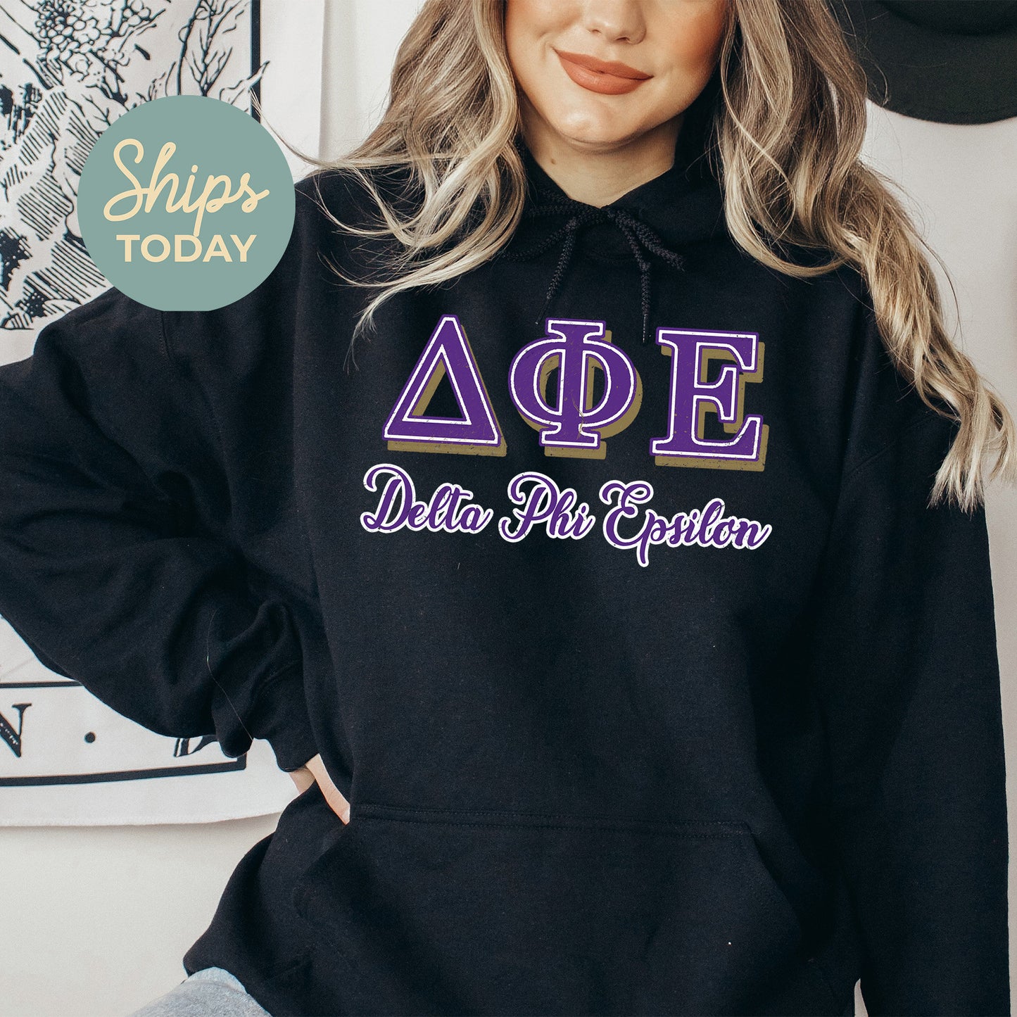 Delta Phi Epsilon Greek Colors Sorority Hoodie _ 36081g
