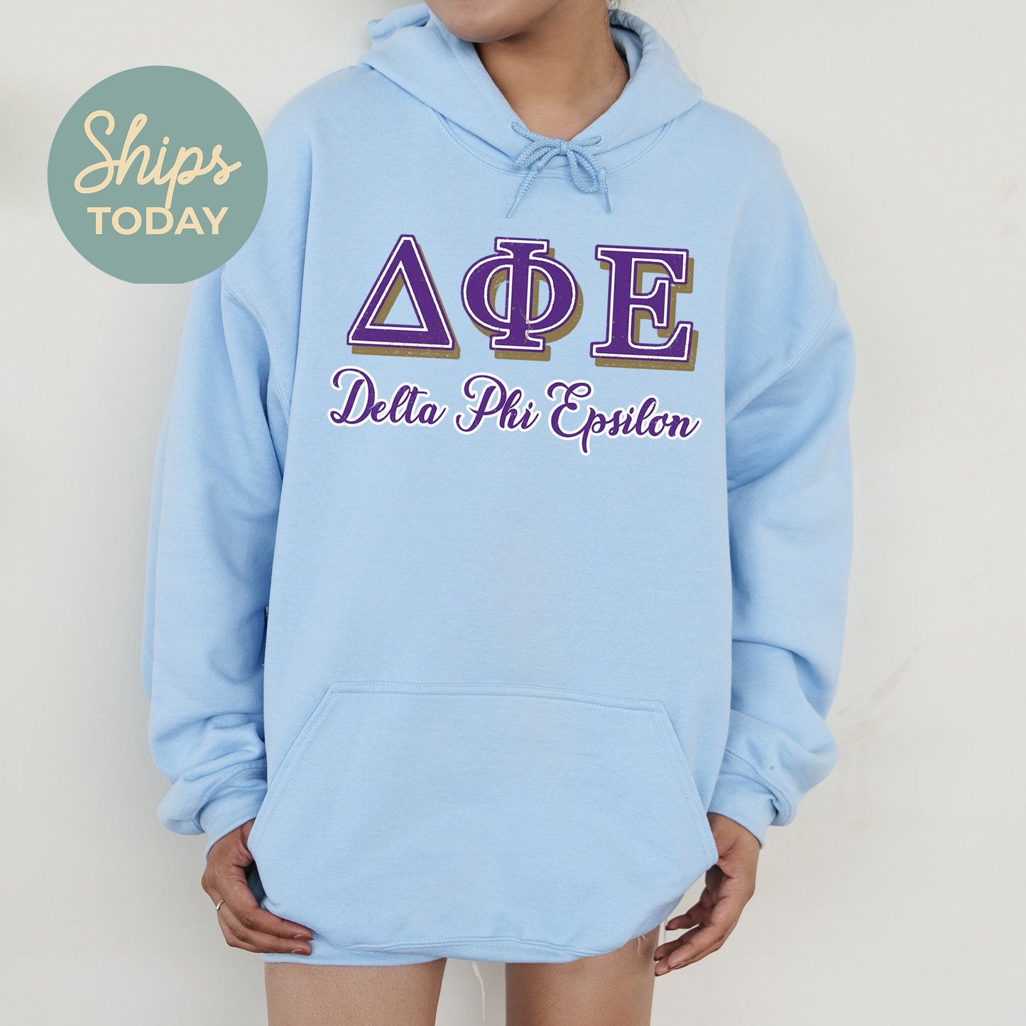 Delta Phi Epsilon Greek Colors Sorority Hoodie _ 36081g